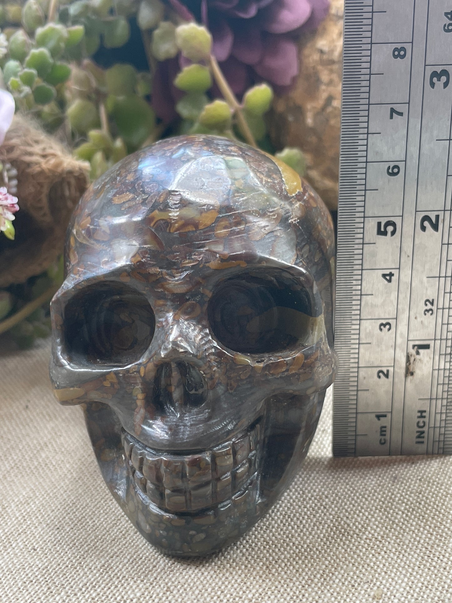 Bamboo Jasper skull