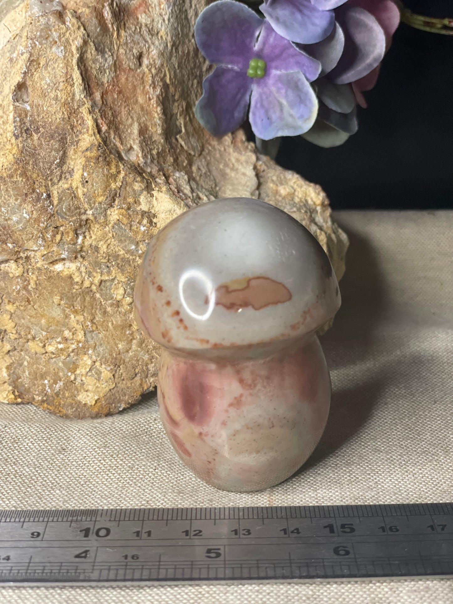 Polychrome Jasper mushroom