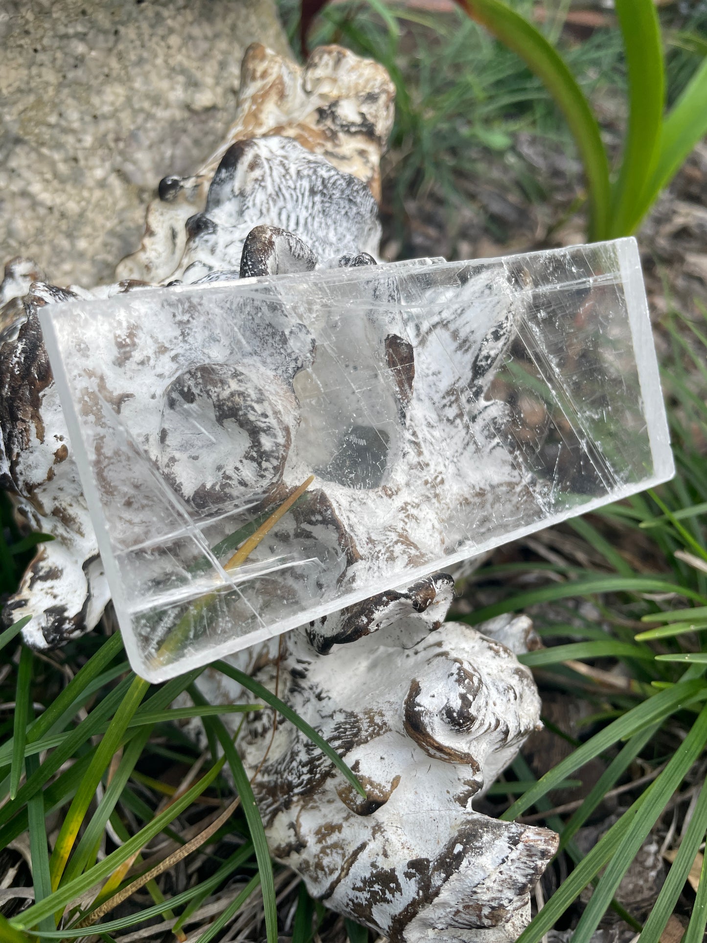 Real selenite or true selenite