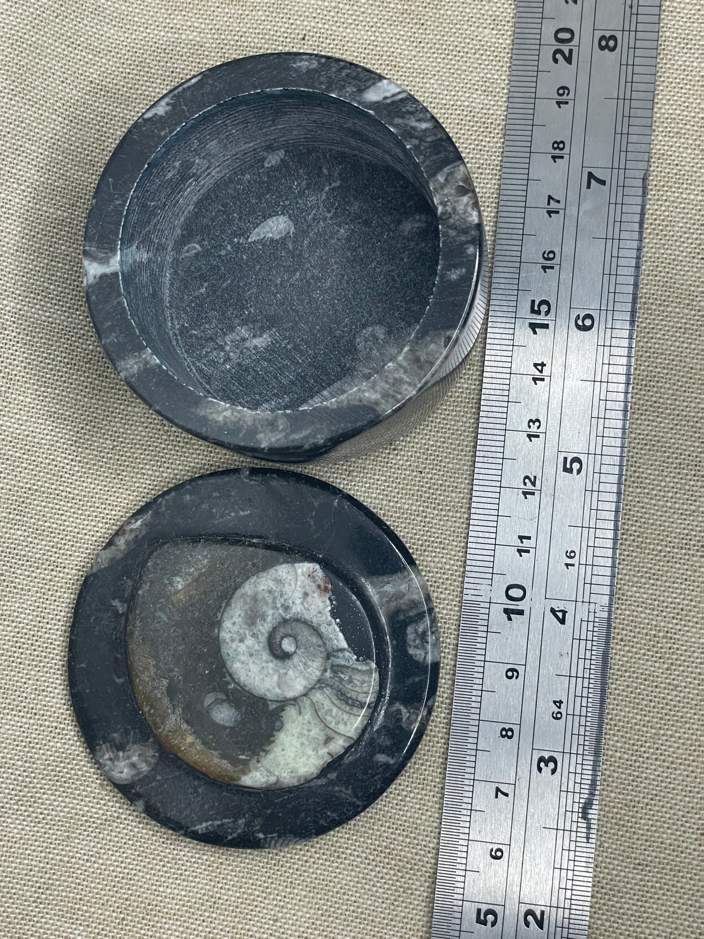 Orthoceras goneitite trinket bowl