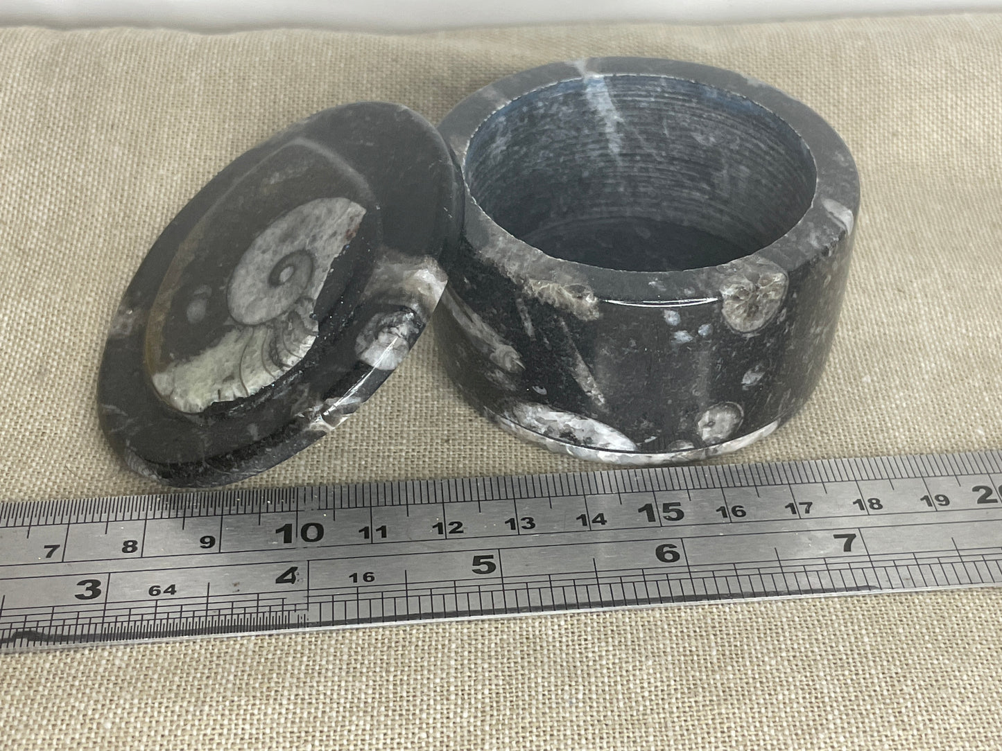 Orthoceras goneitite trinket bowl
