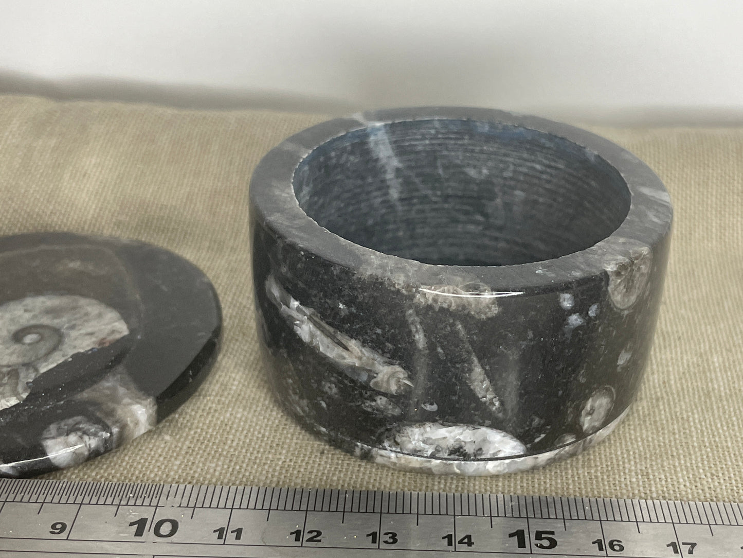 Orthoceras goneitite trinket bowl