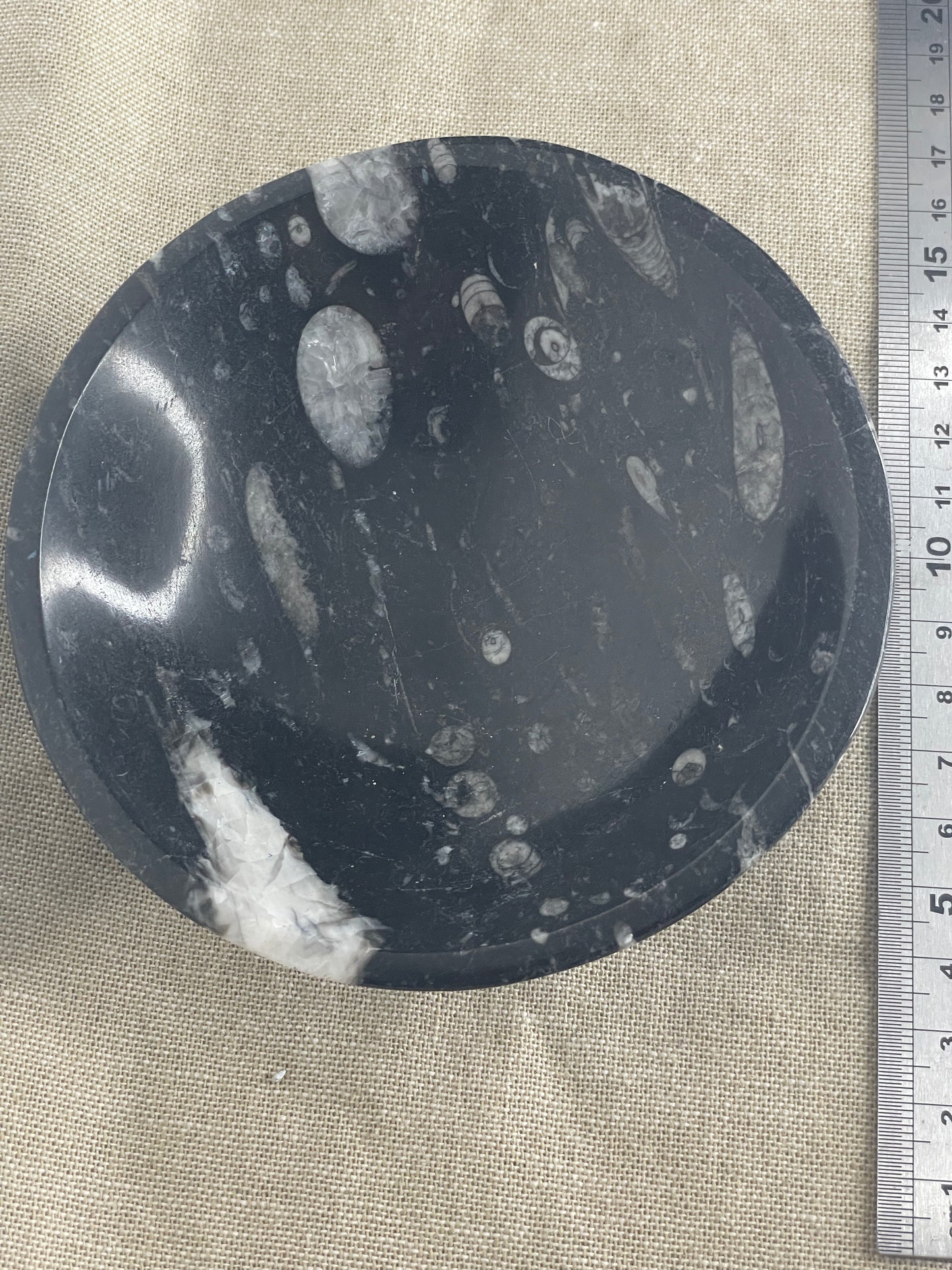 Orthoceras bowl