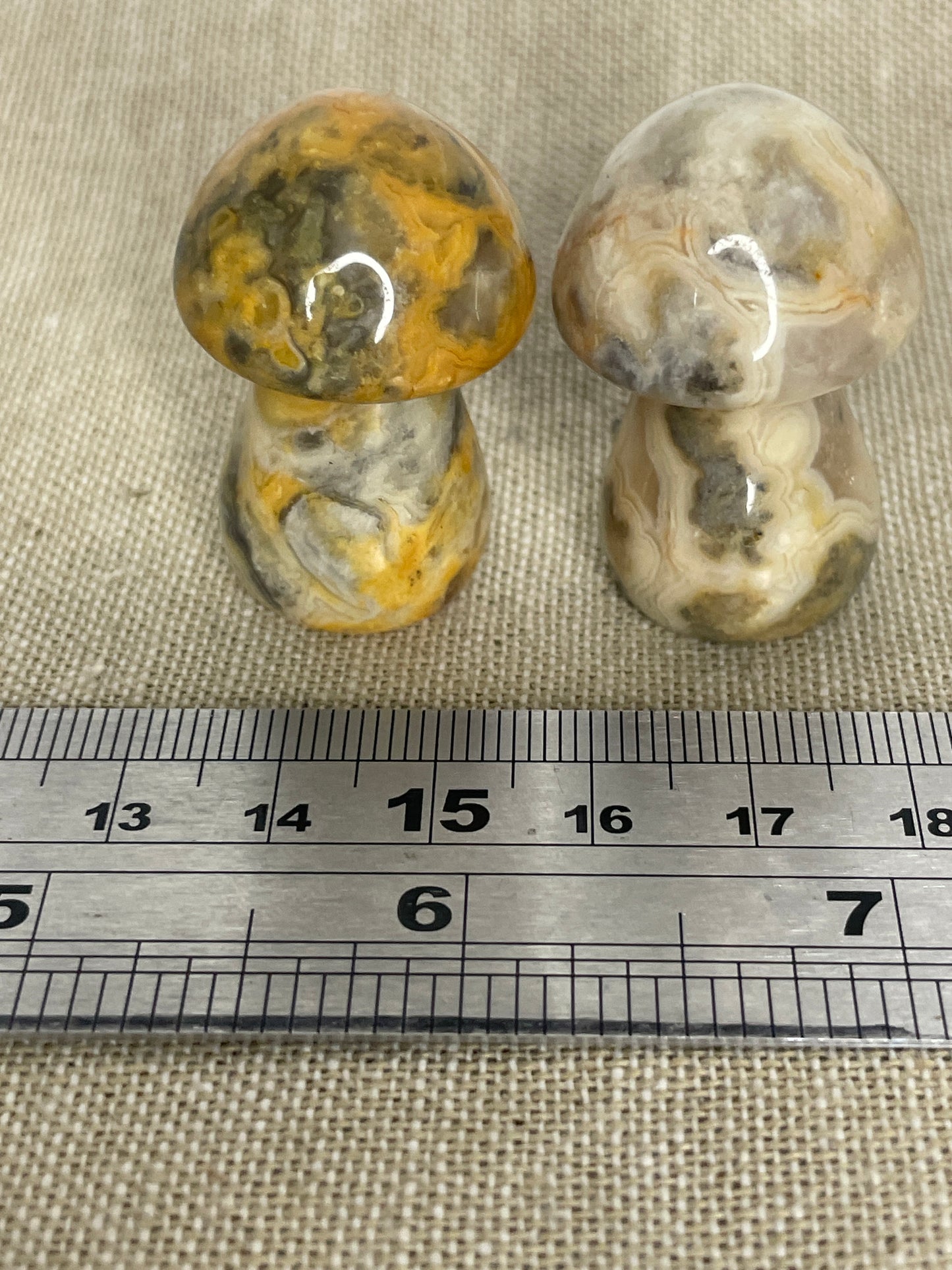 Crazy lace agate