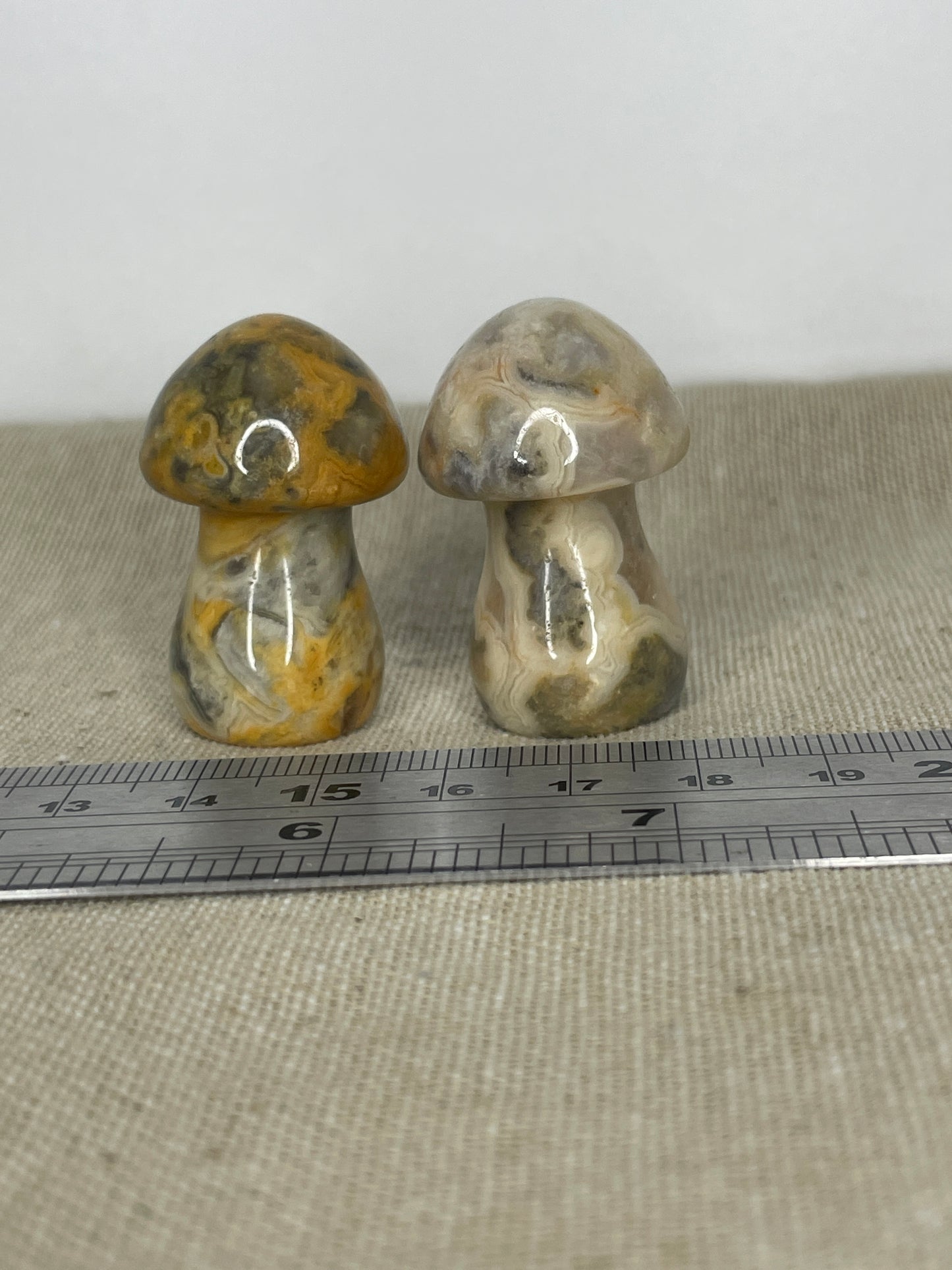 Crazy lace agate