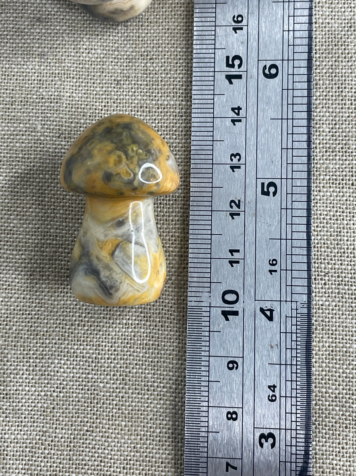 Crazy lace agate
