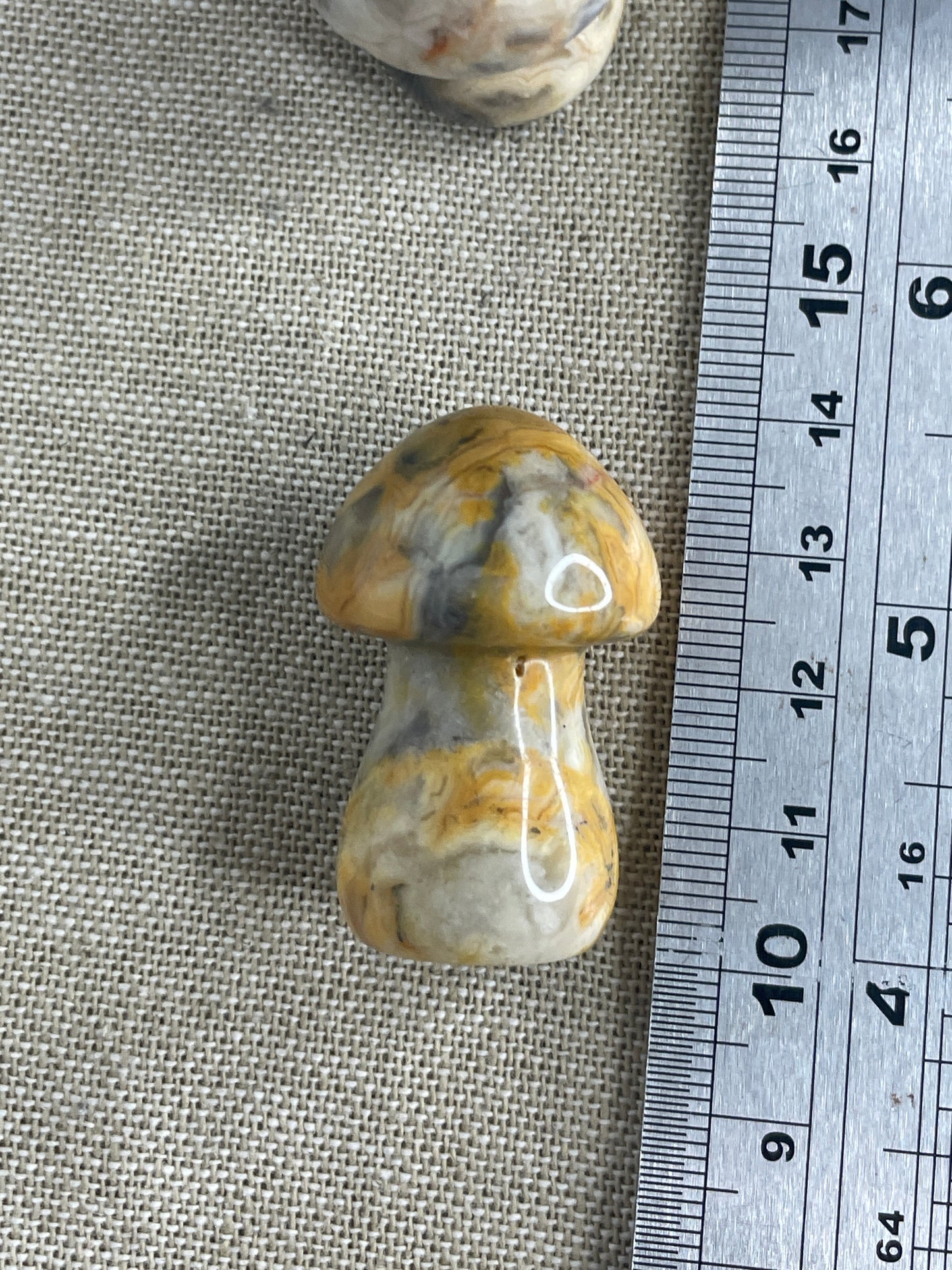 Crazy lace agate