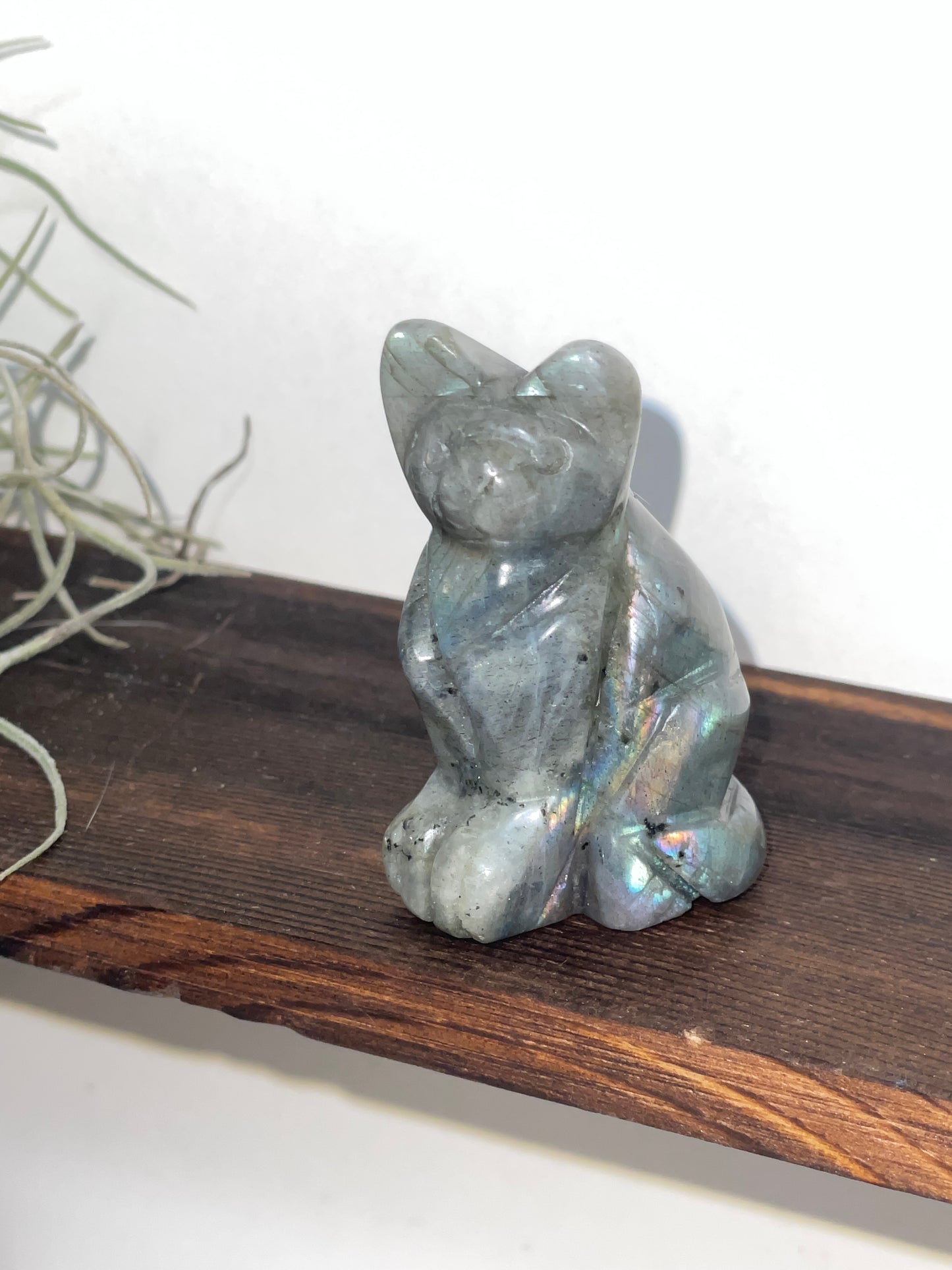 Labradorite cat carving