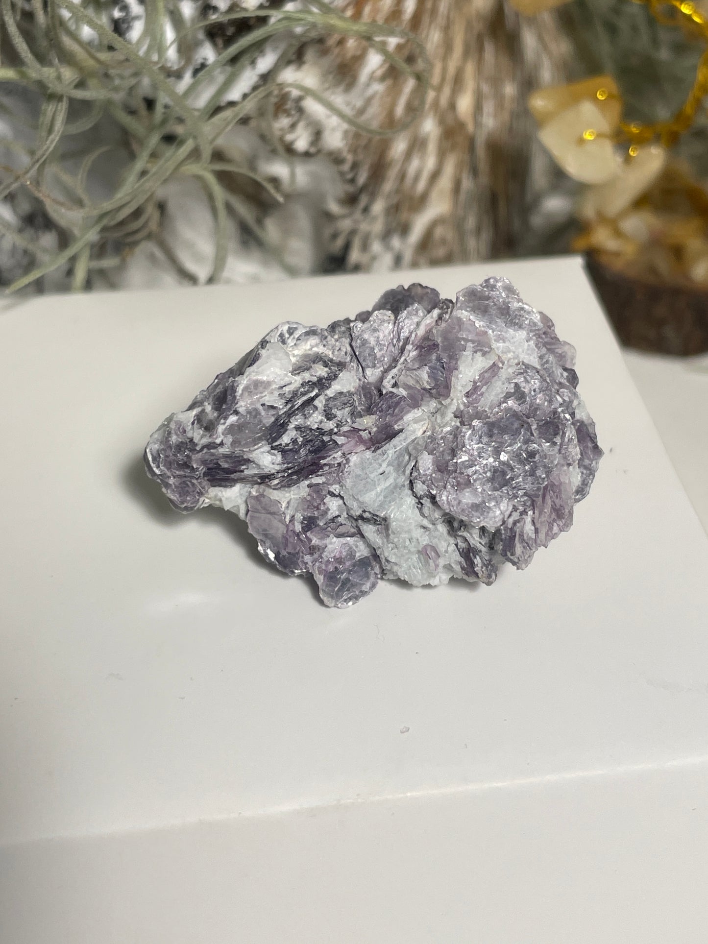Lepidolite blade cluster