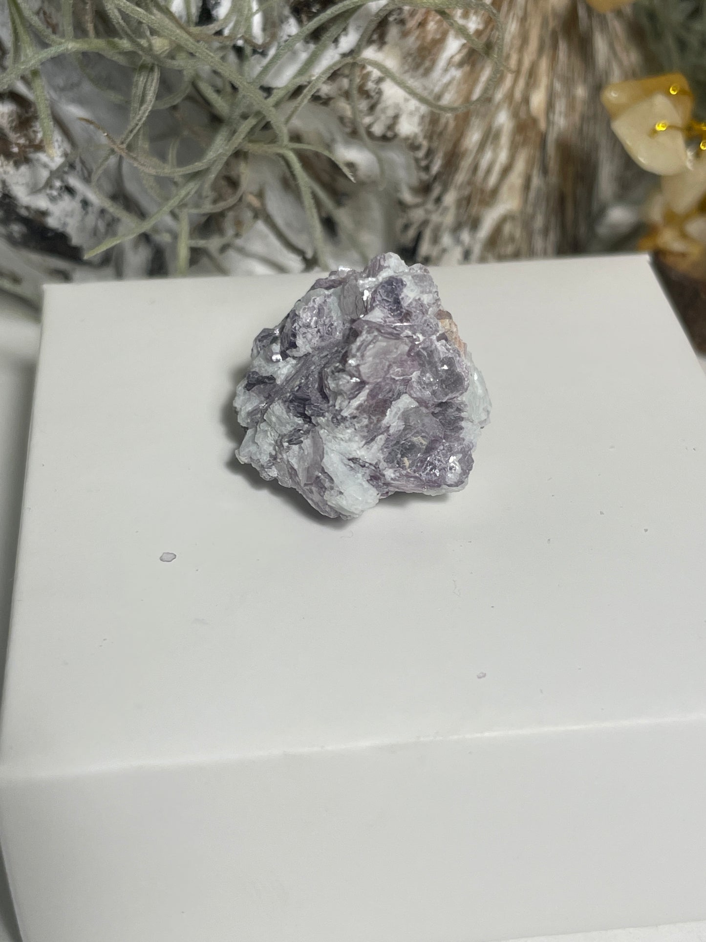 Lepidolite blade cluster