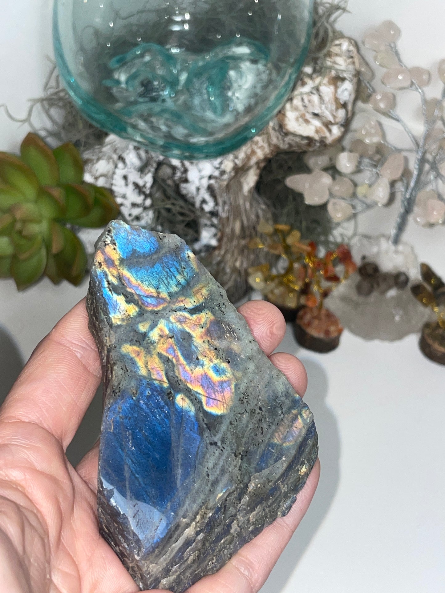 Labradorite polished faced rough