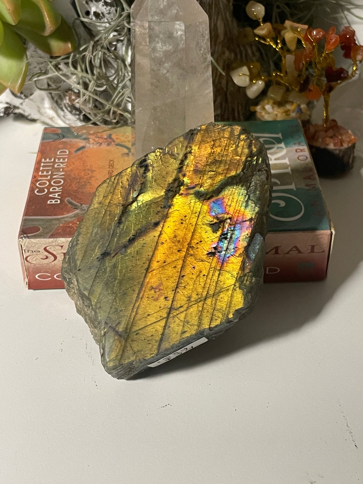 Labradorite polished face