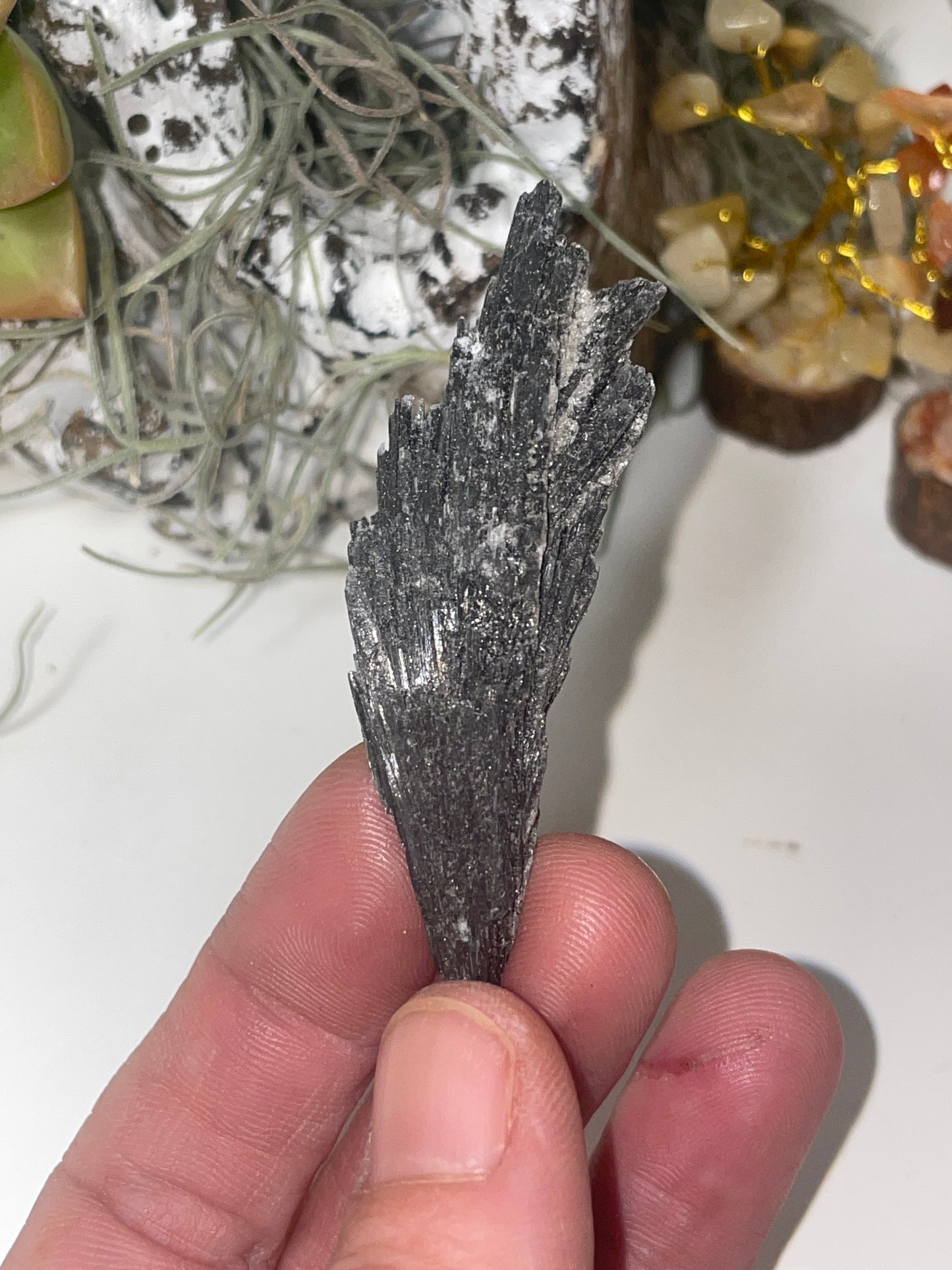Black kyanite spray