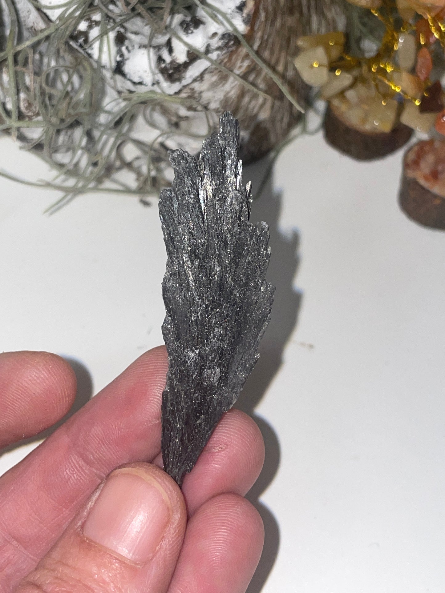 Black kyanite spray