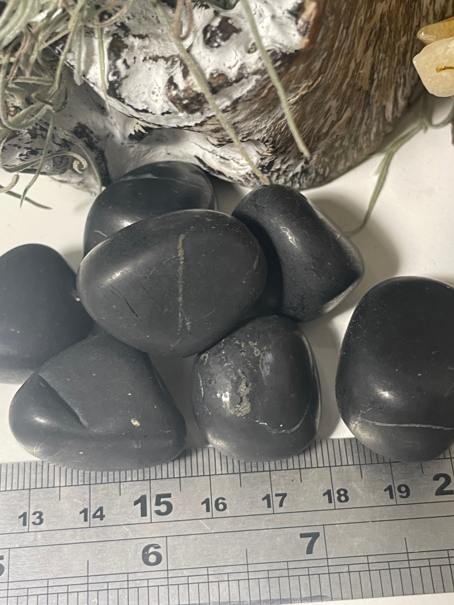 shungite tumbled stones