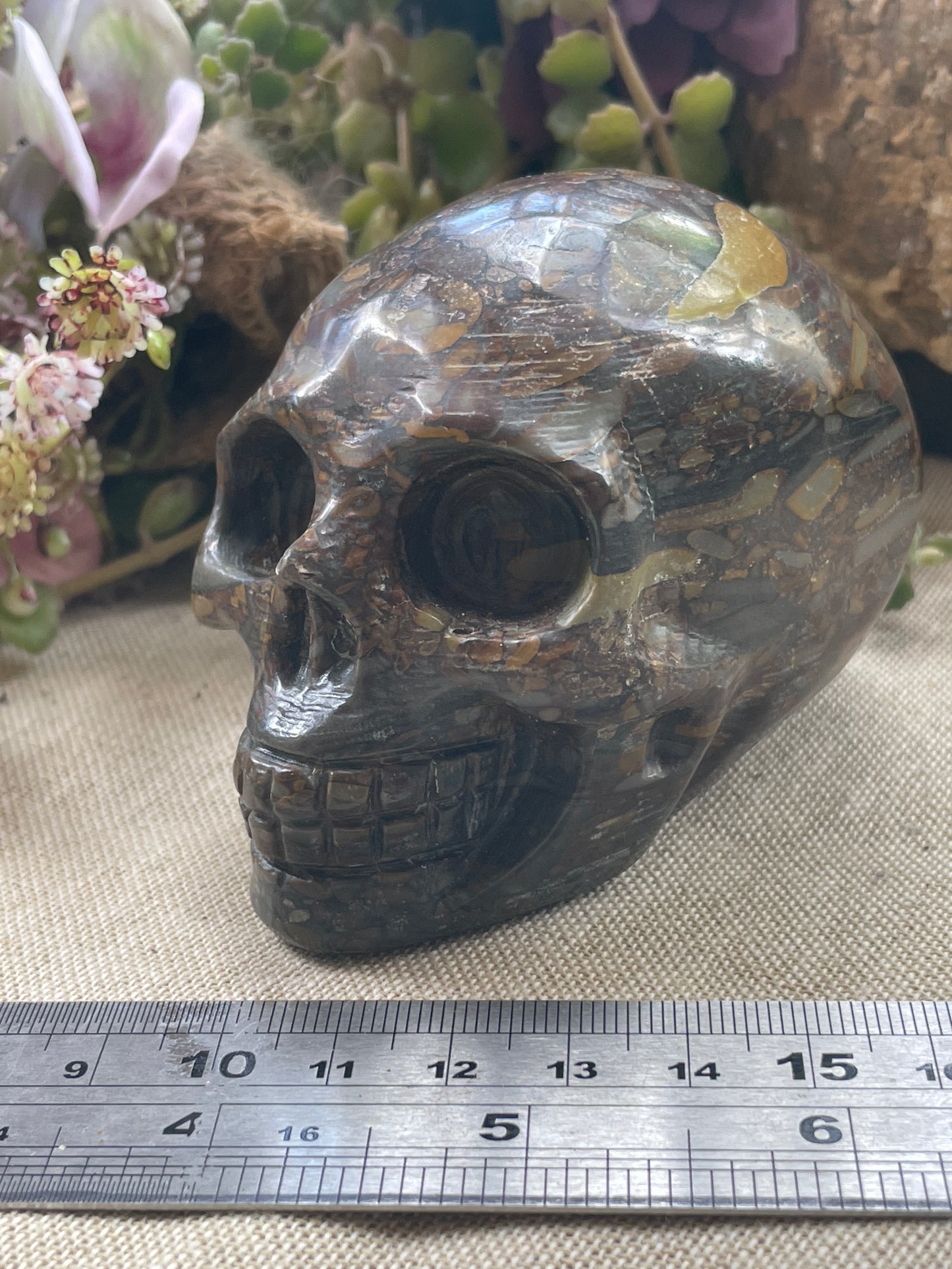 Bamboo Jasper skull