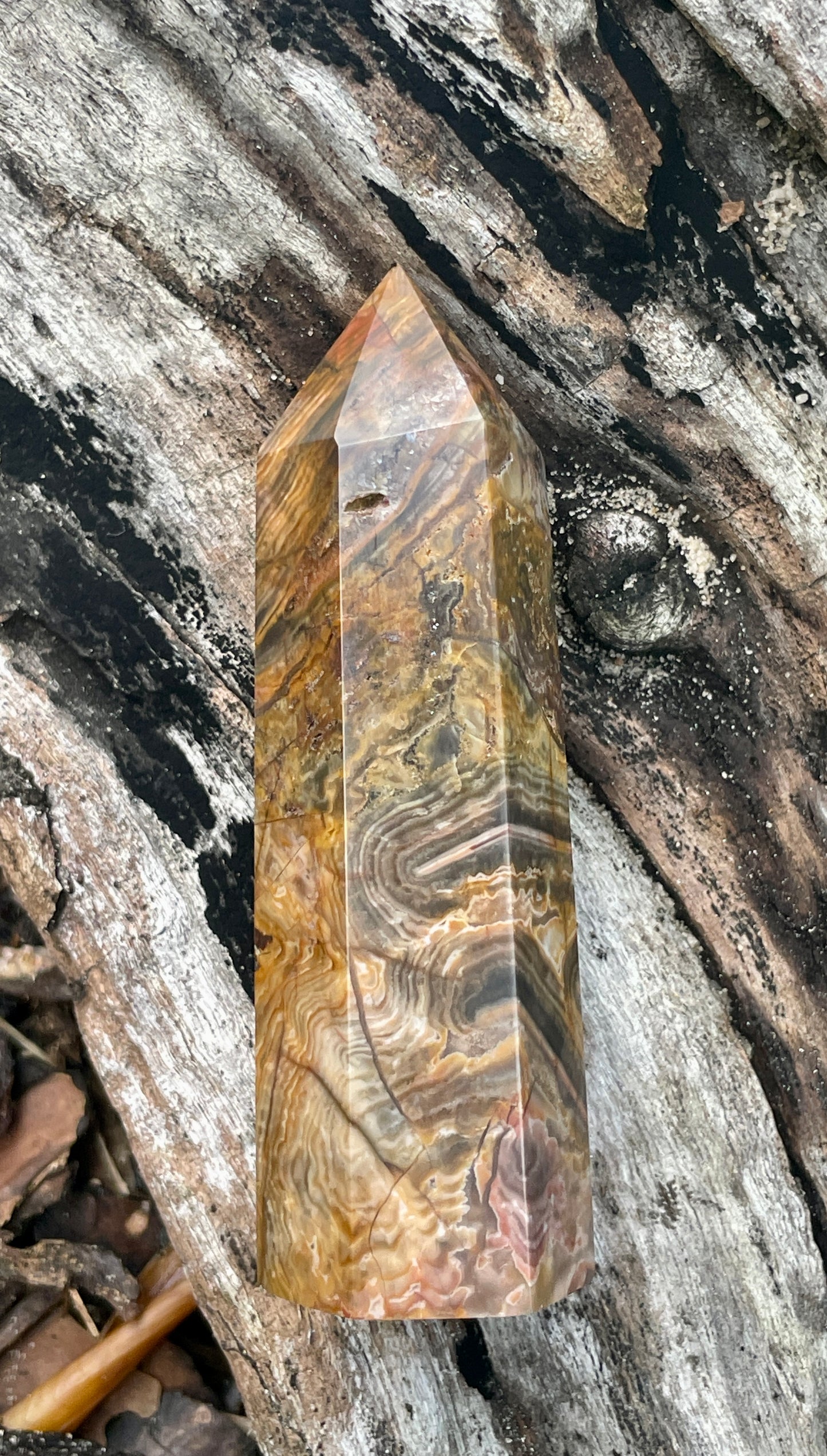 Petrified wood / fossilised timber tower
