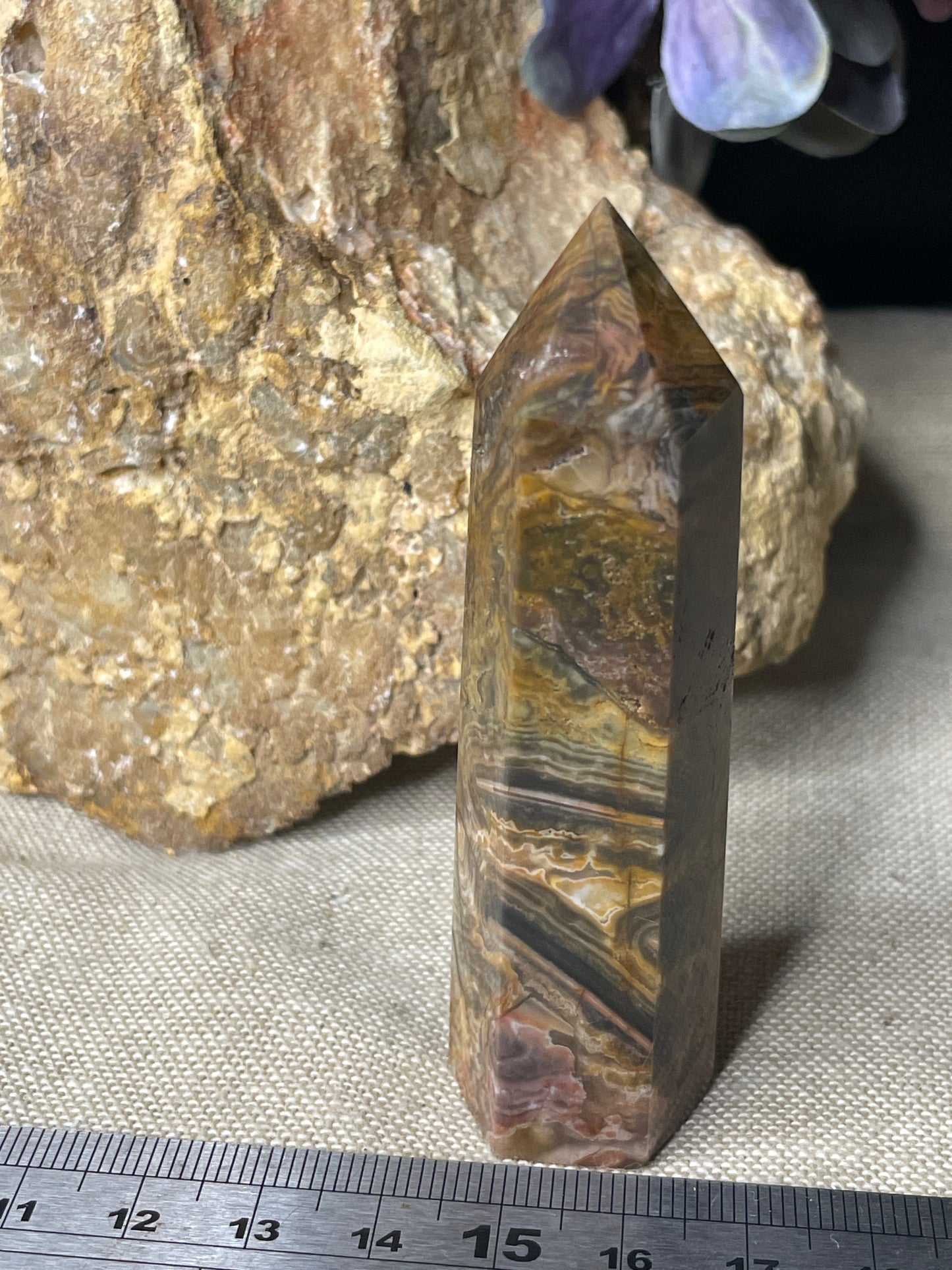 Petrified wood / fossilised timber tower