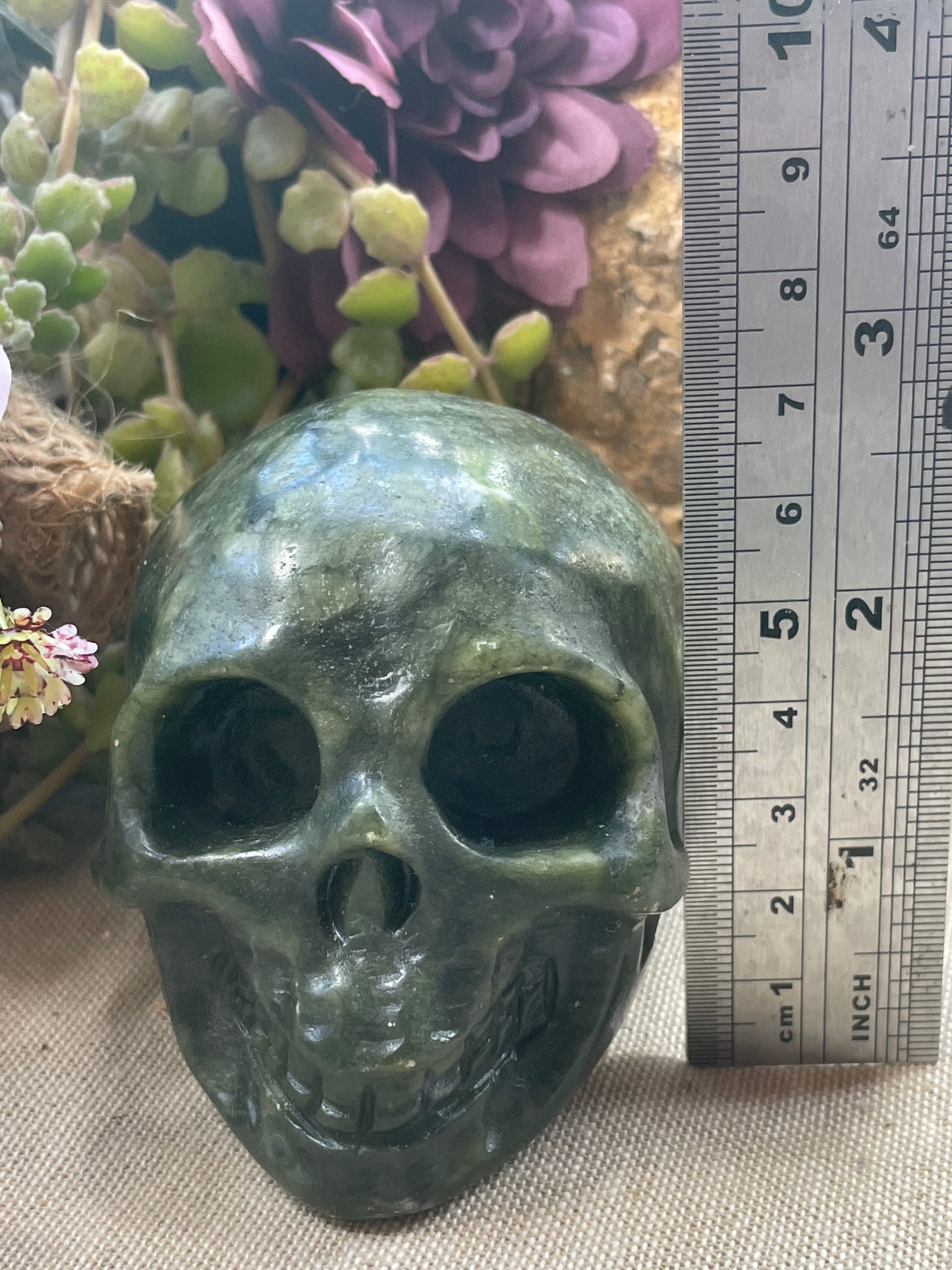 Skull