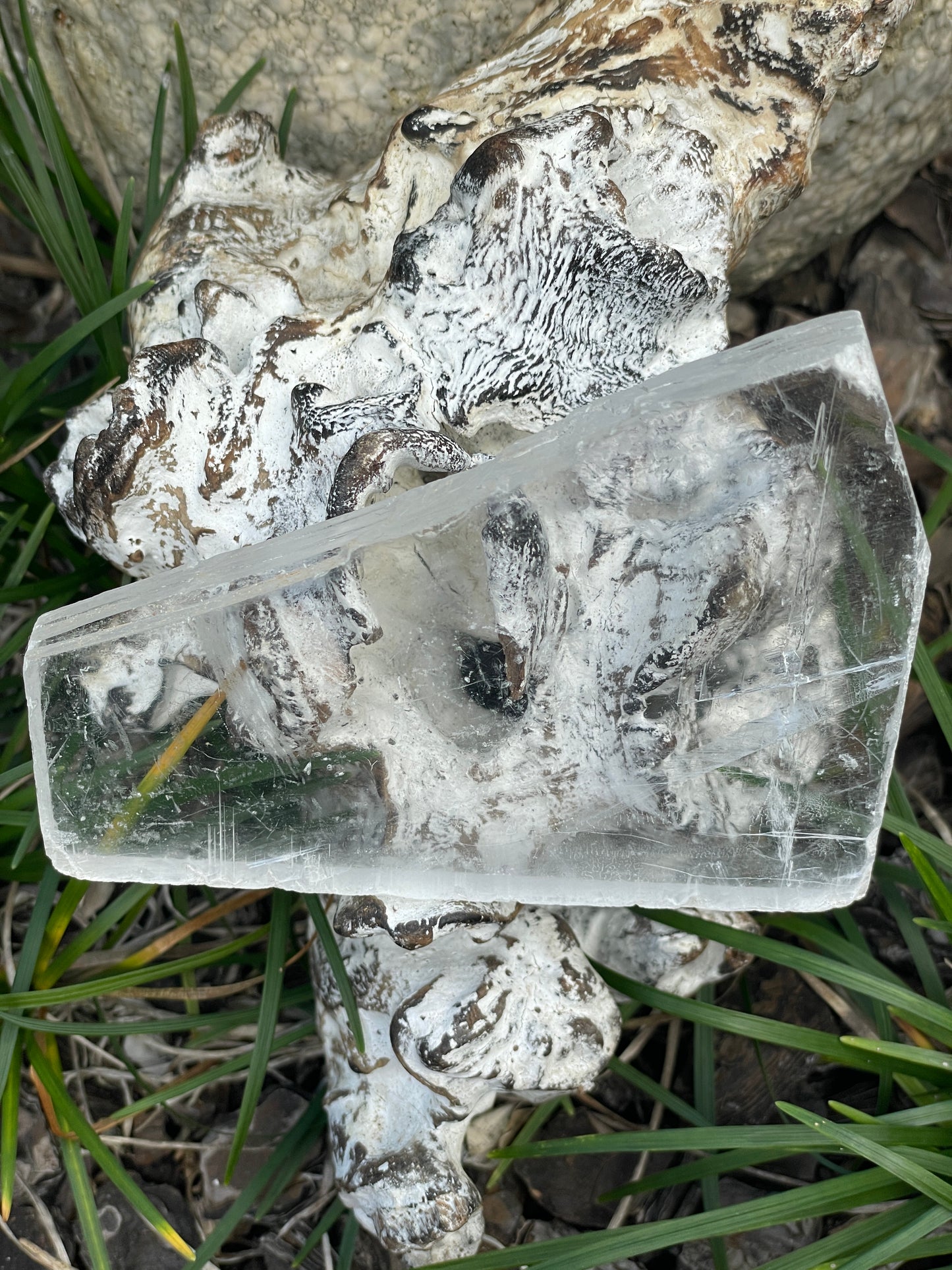 Real selenite true selenite