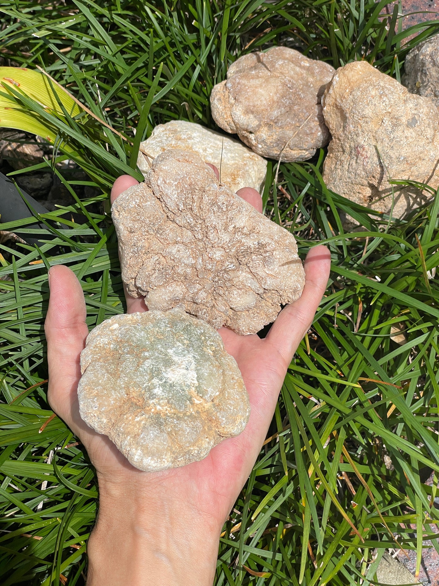 Crack your own geodes (quartz)