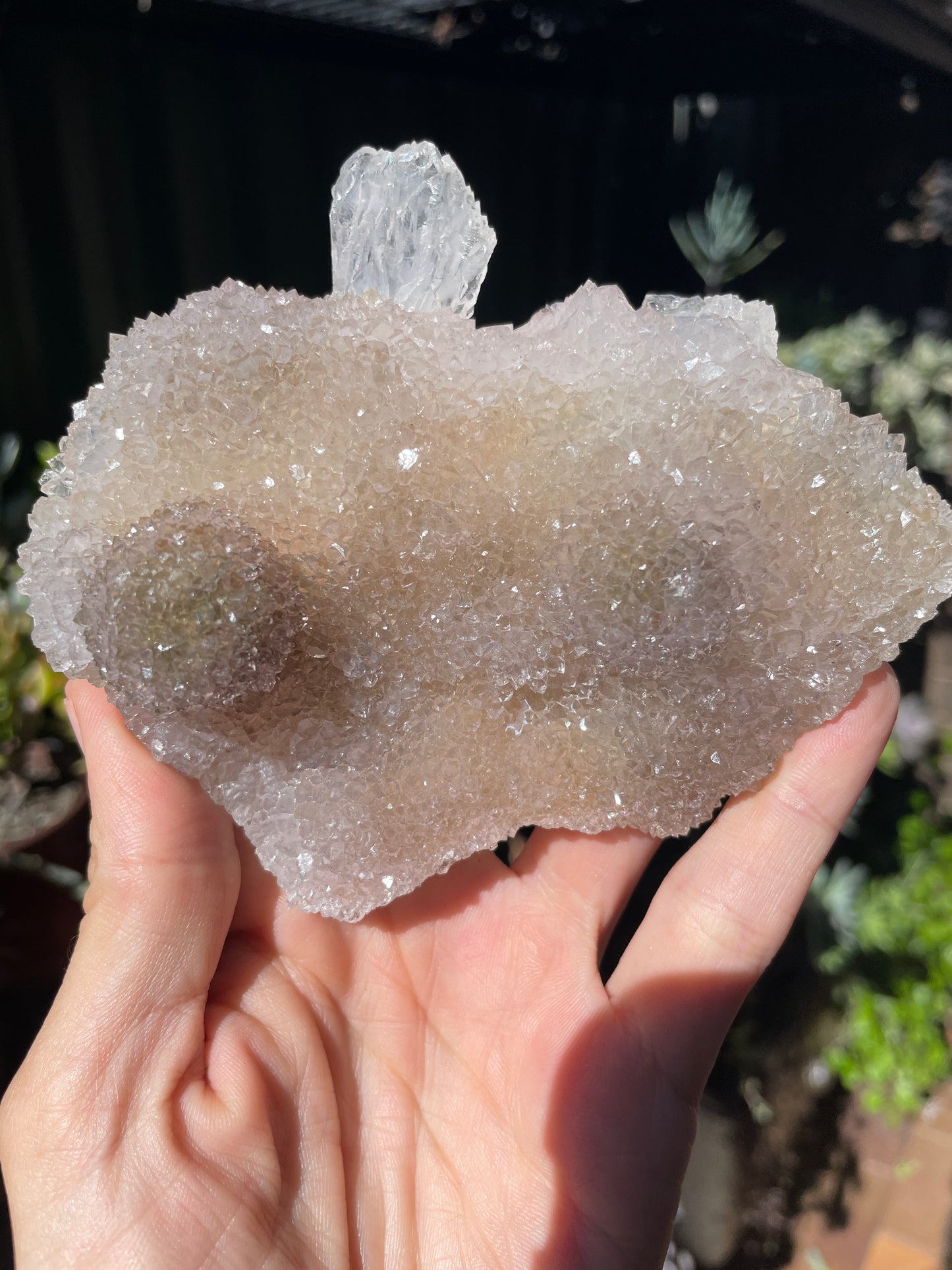 Flower formation amethyst cluster