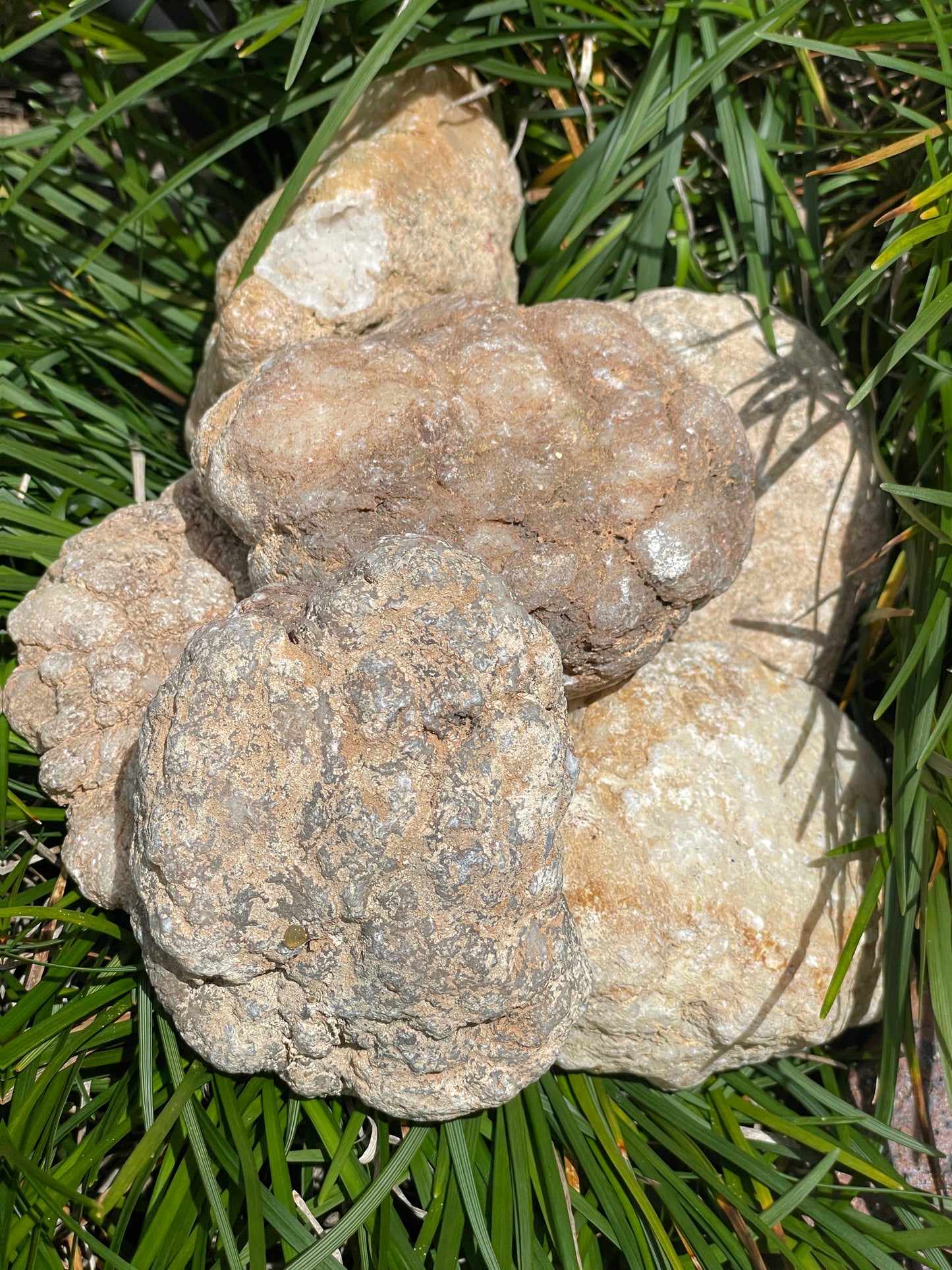 Crack your own geodes (quartz)