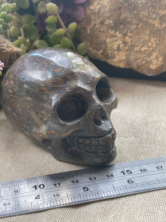 Bamboo Jasper skull