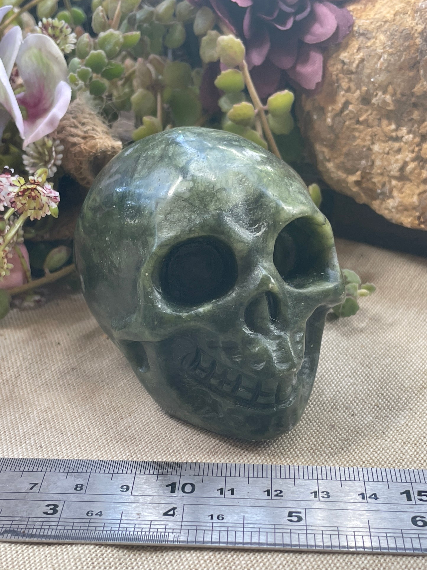 Skull