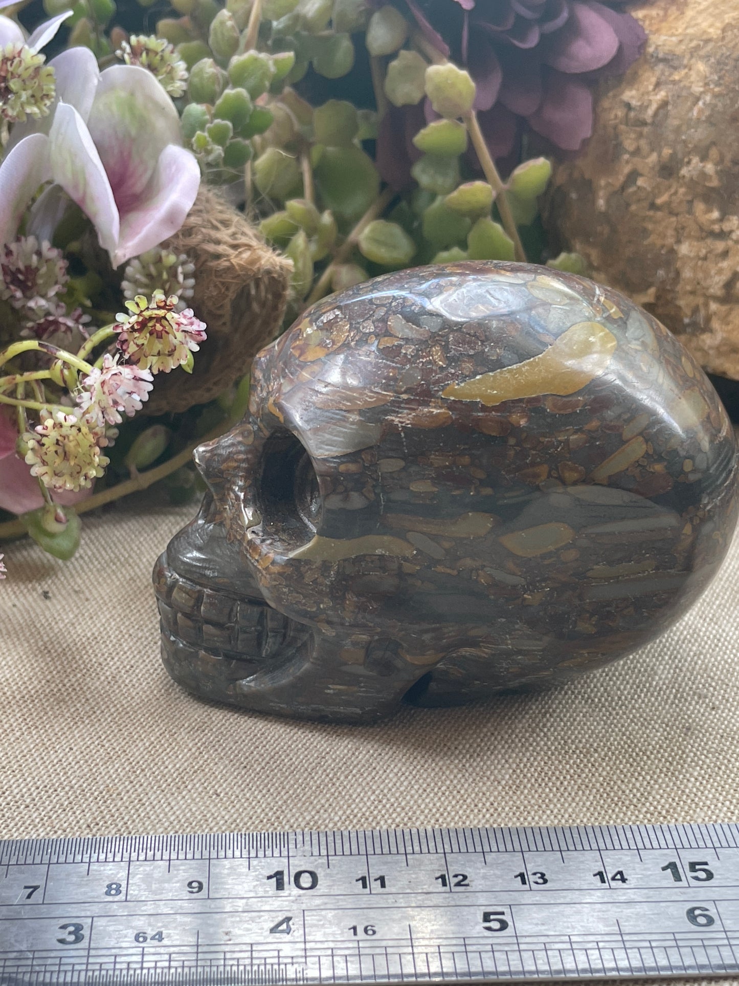 Bamboo Jasper skull