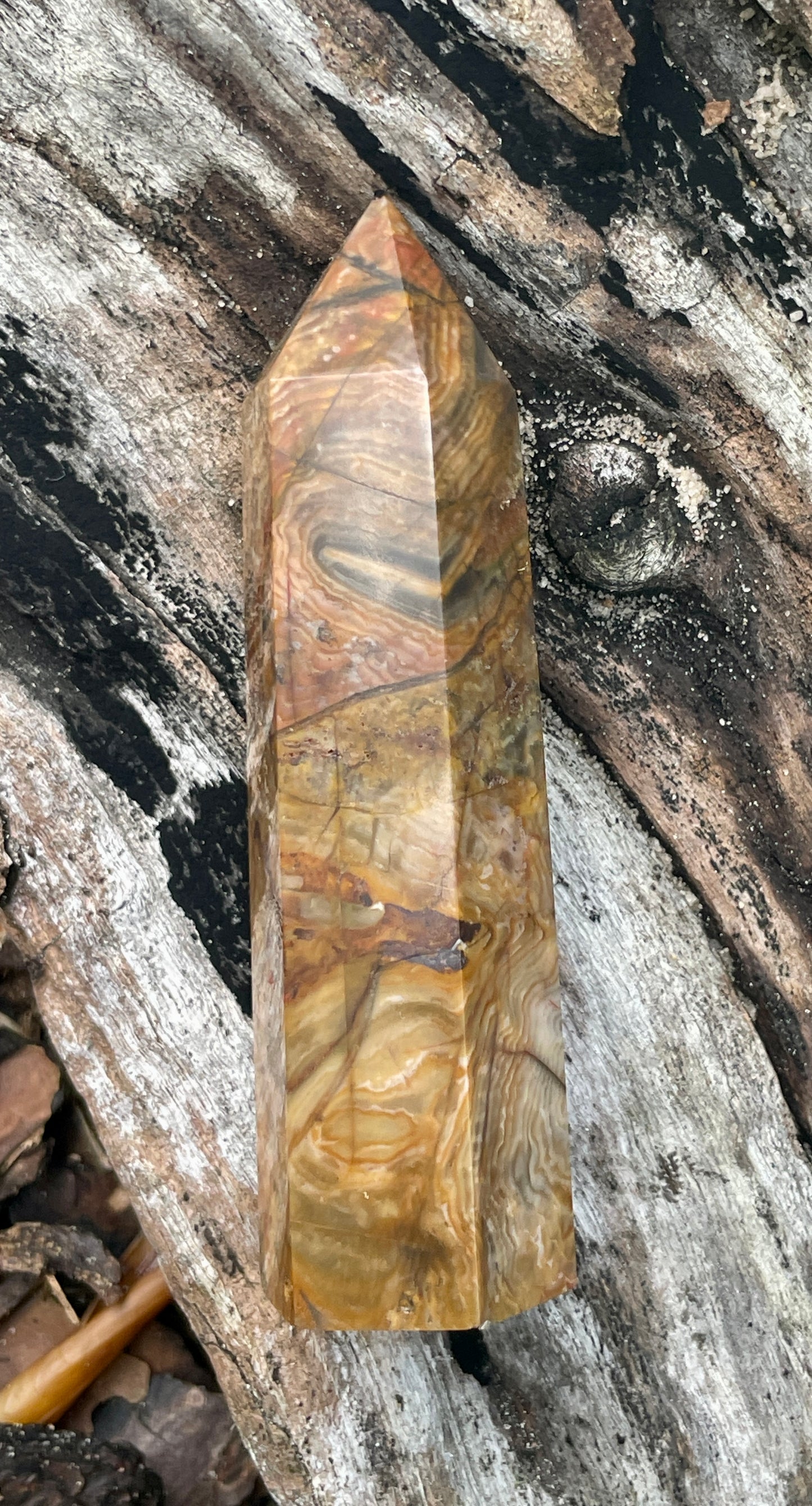 Petrified wood / fossilised timber tower