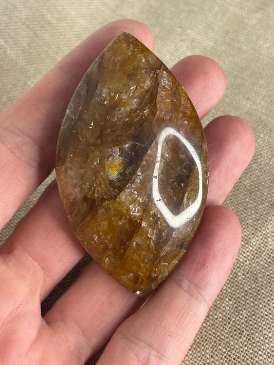 Golden healer palm eye shape