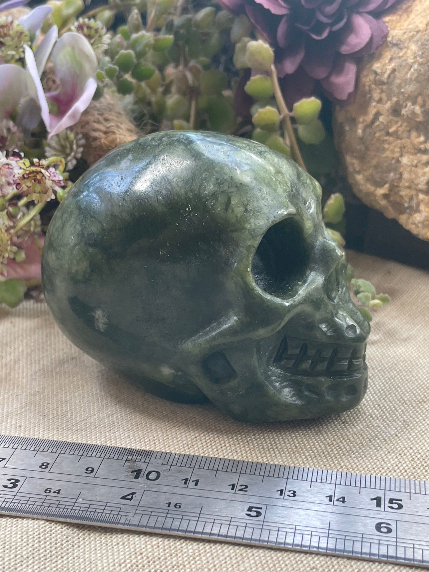 Skull