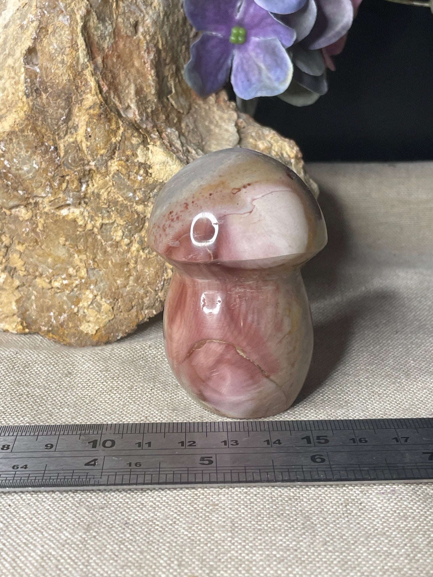 Polychrome Jasper mushroom