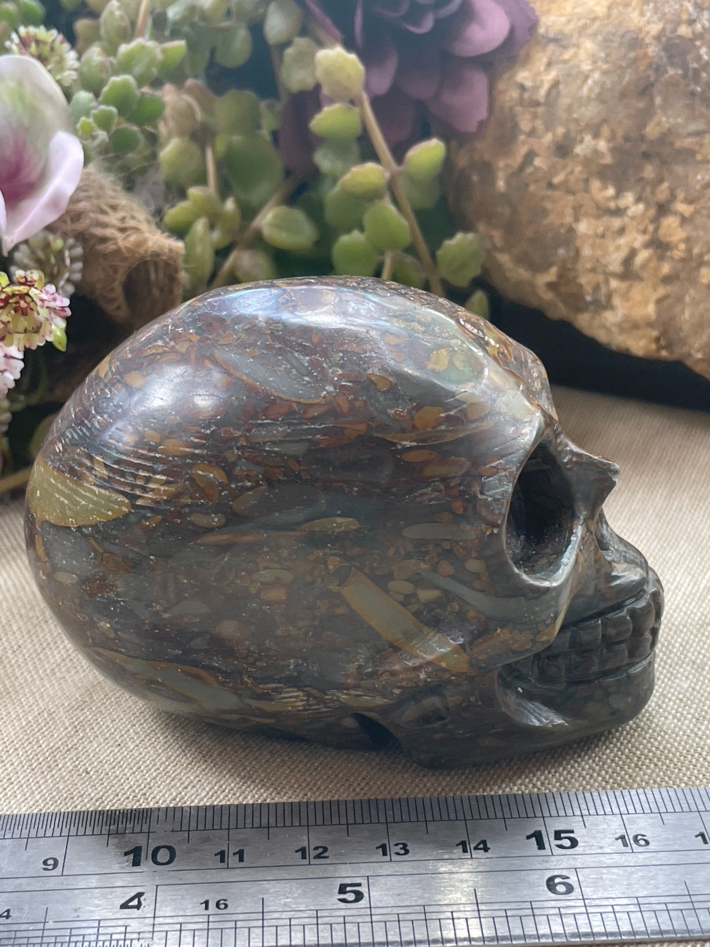 Bamboo Jasper skull