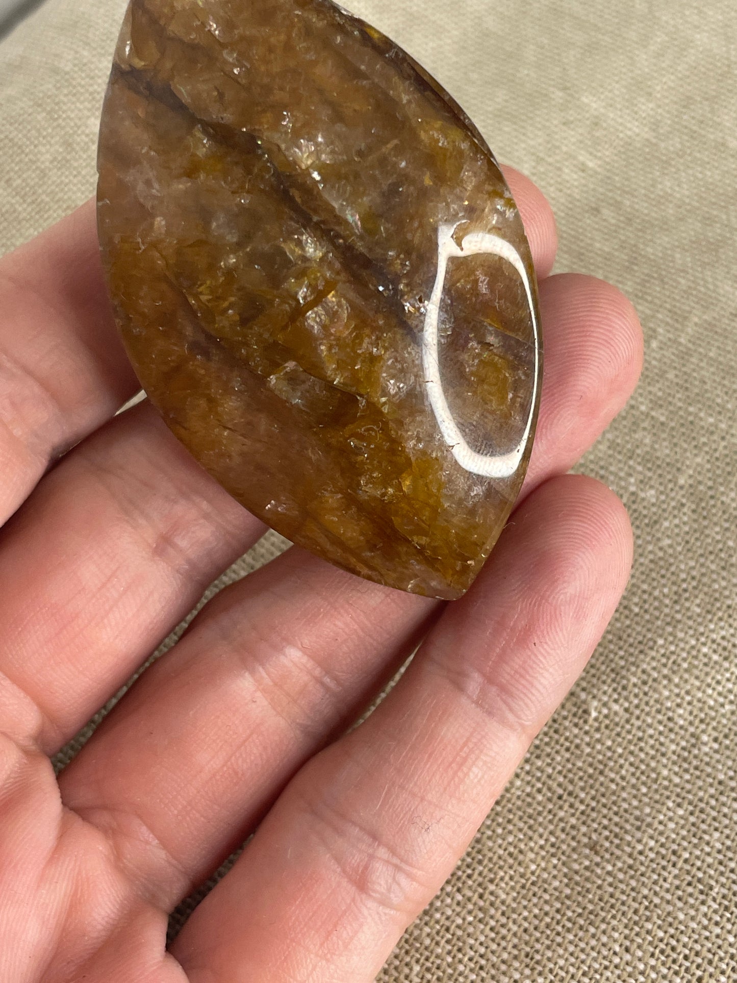 Golden healer palm eye shape