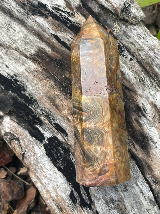 Petrified wood / fossilised timber tower