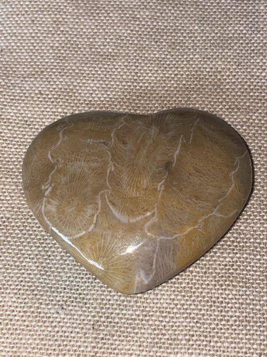 Fossilised coral heart