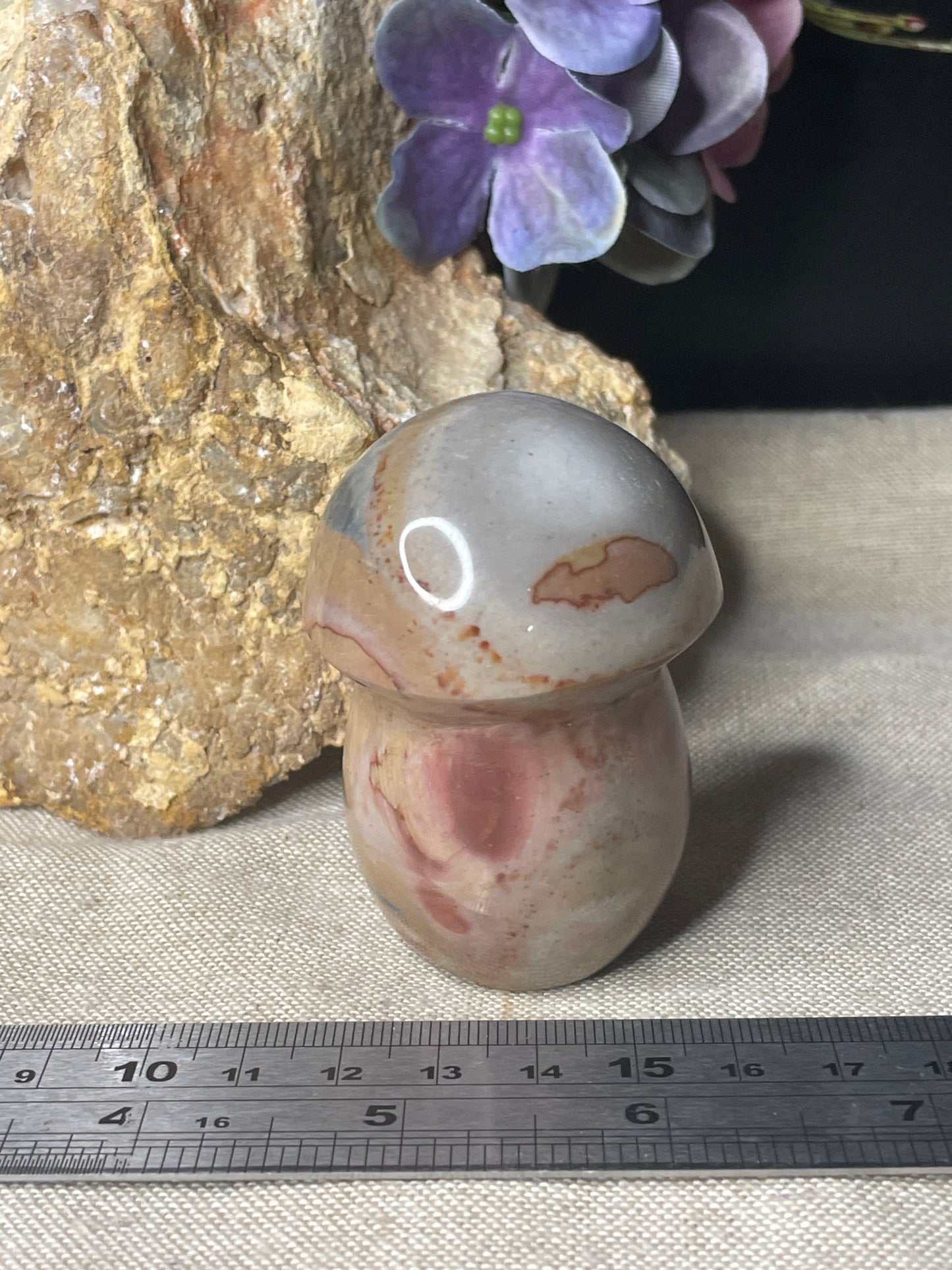 Polychrome Jasper mushroom