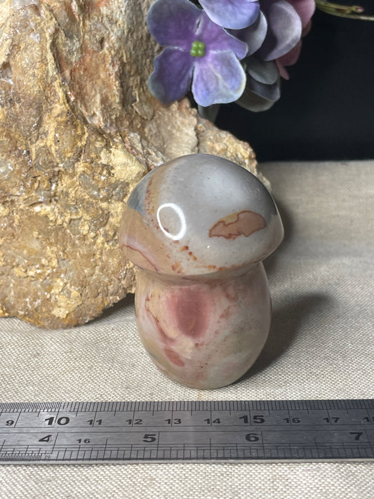 Polychrome Jasper mushroom
