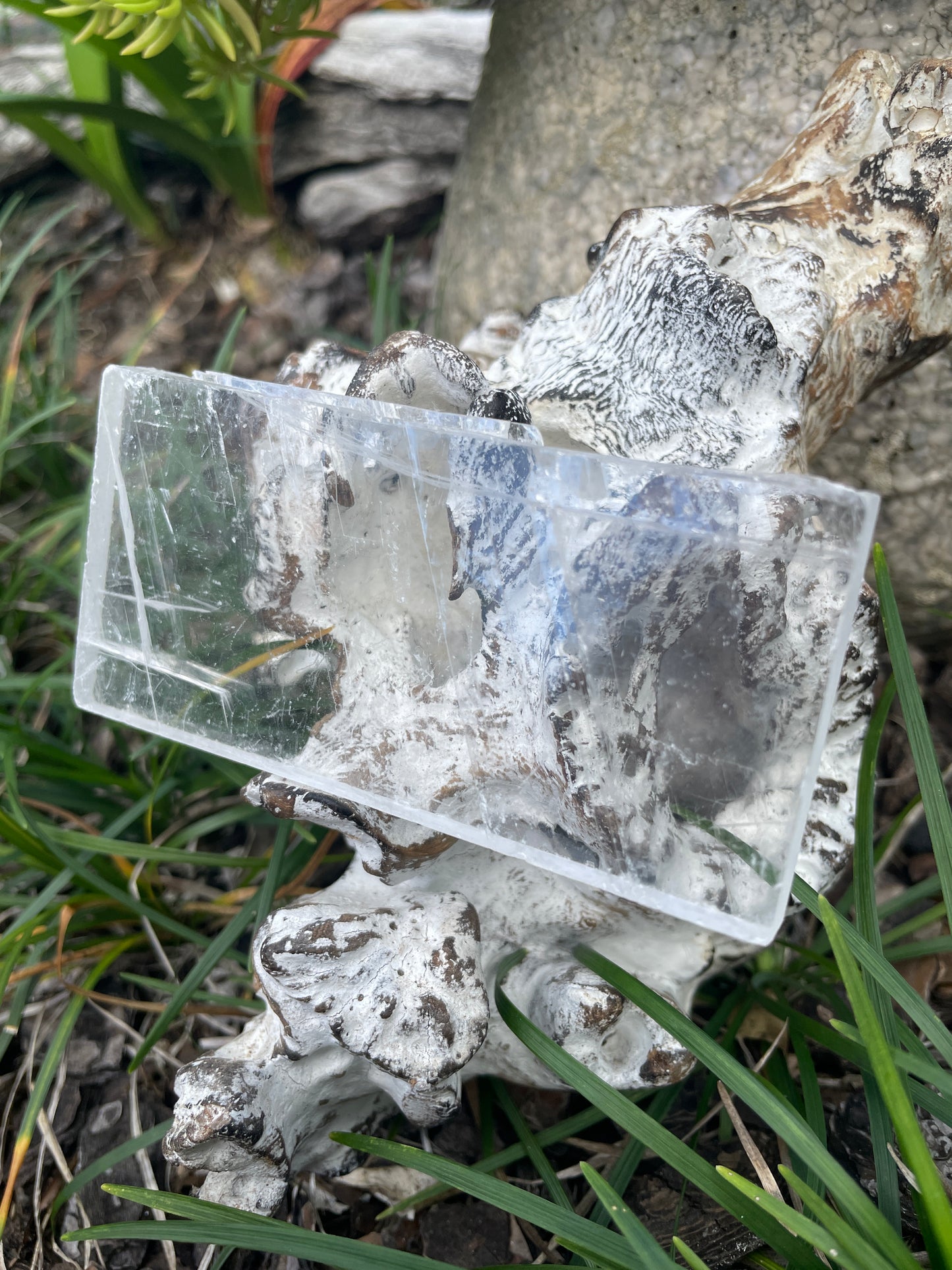 Real selenite or true selenite