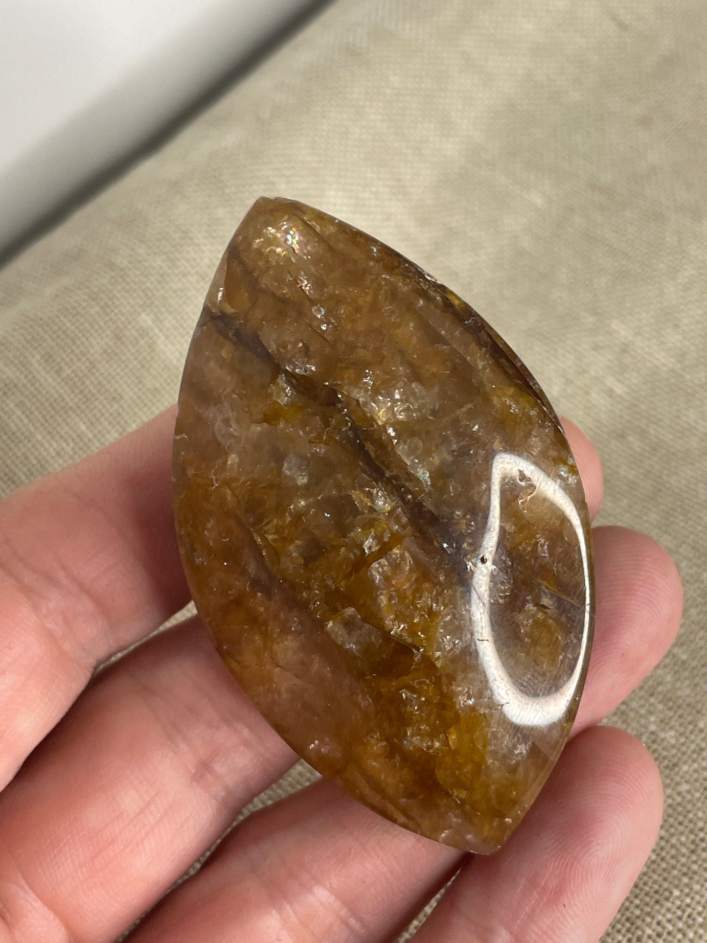 Golden healer palm eye shape