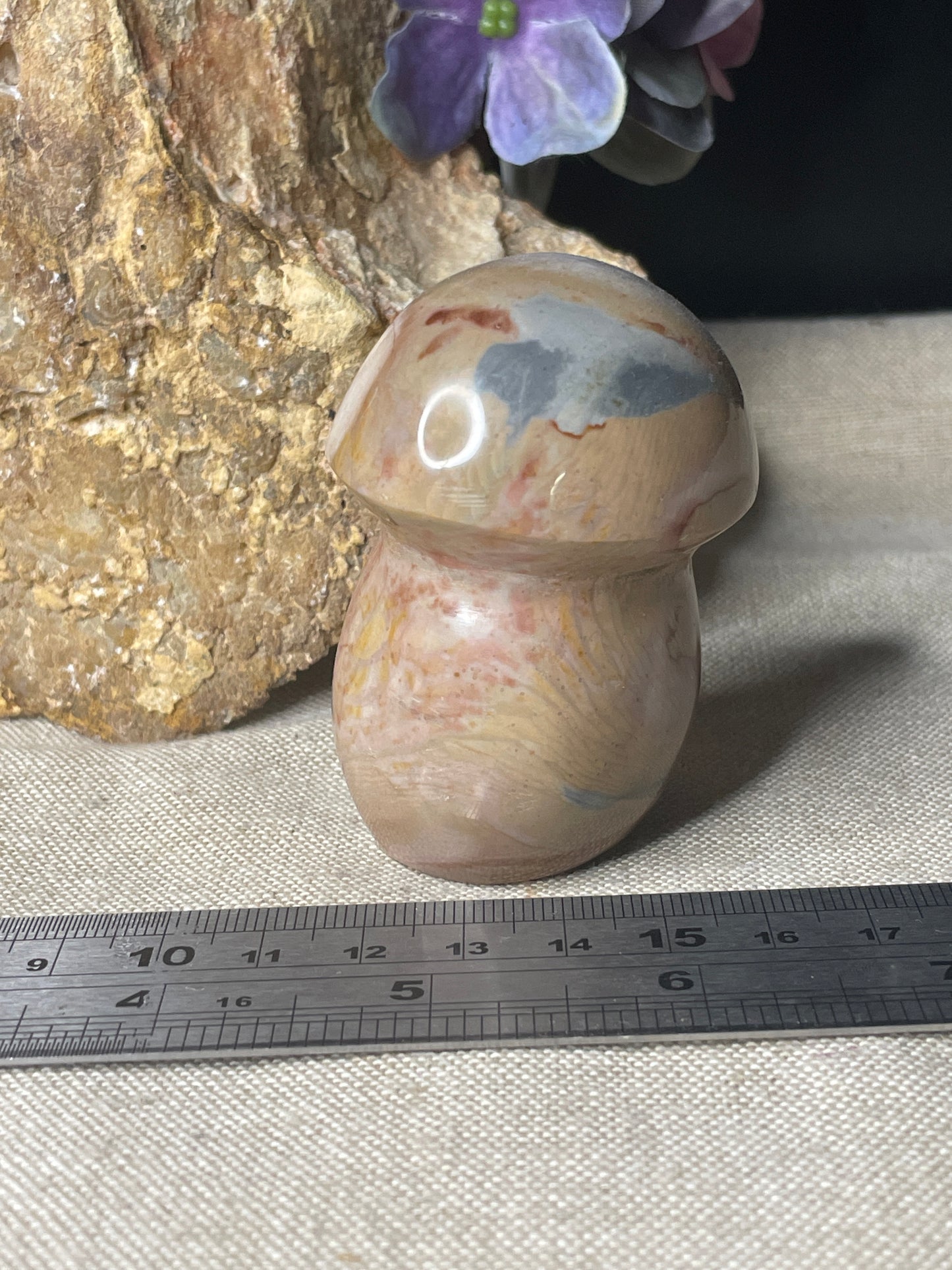 Polychrome Jasper mushroom