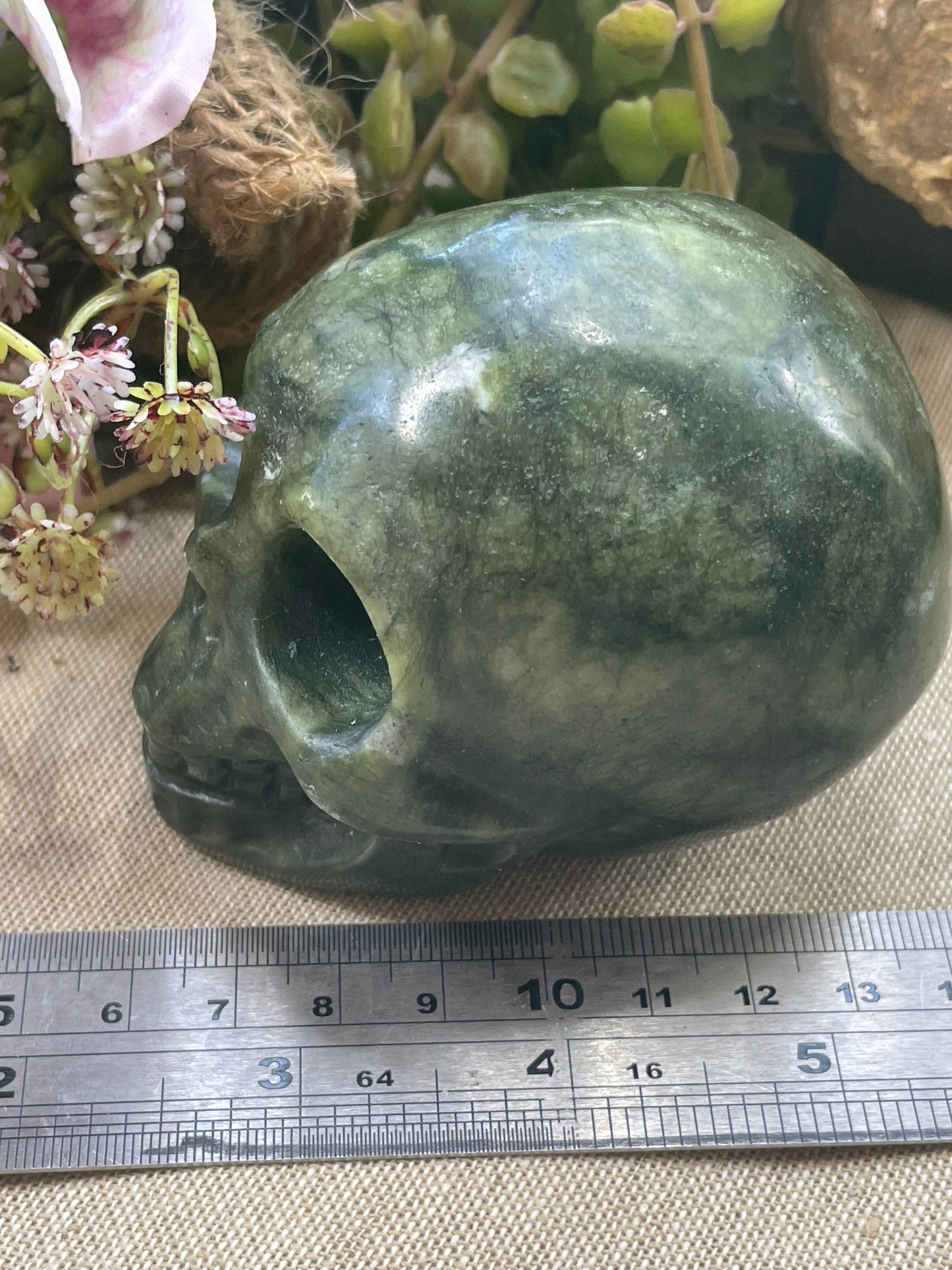 Skull