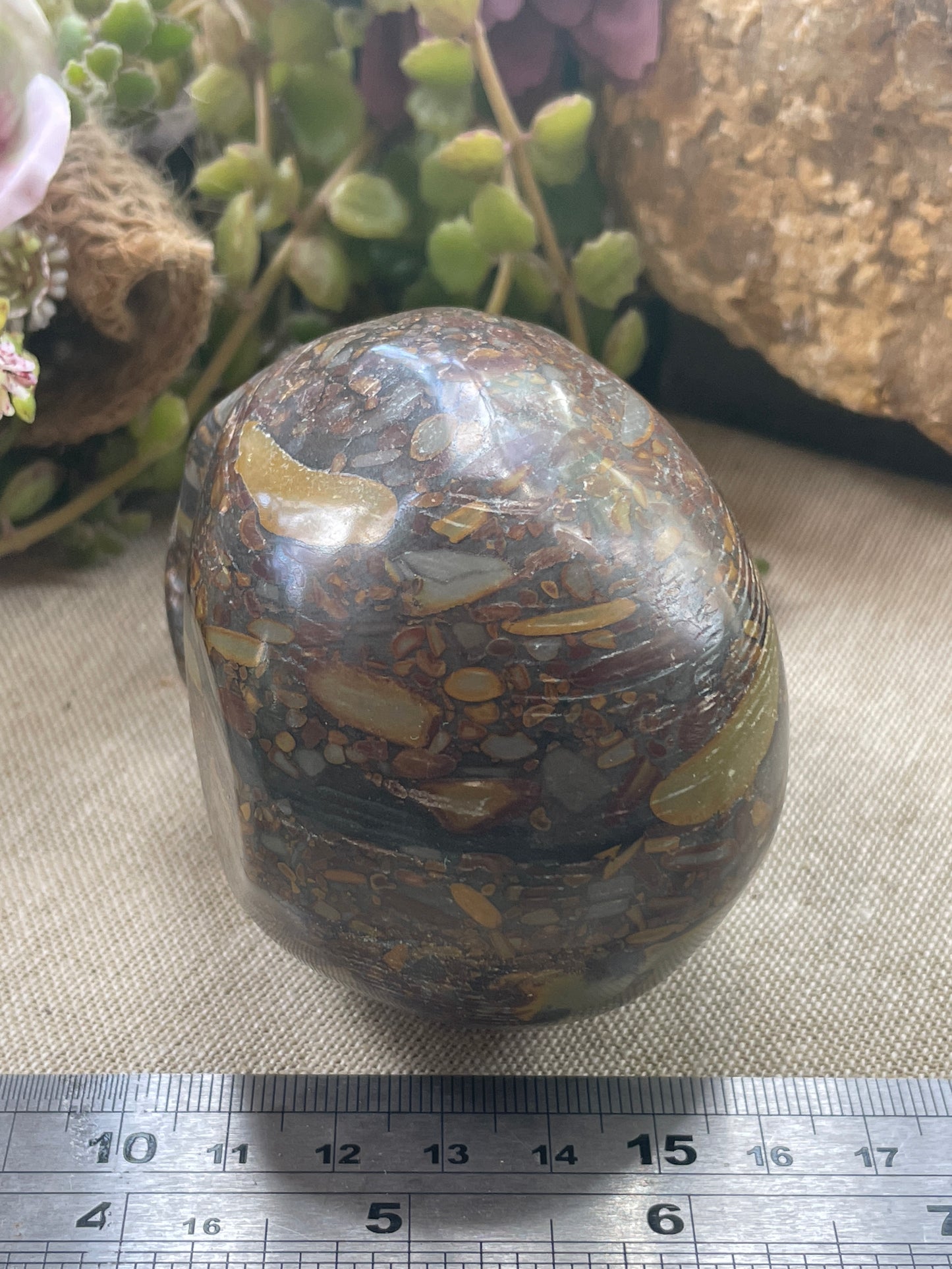 Bamboo Jasper skull