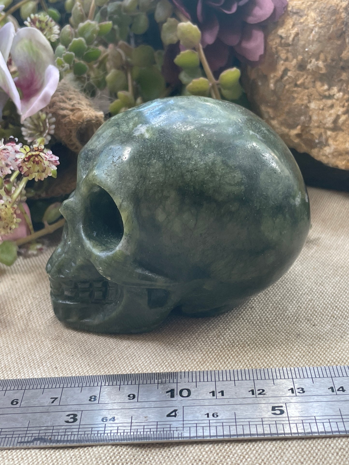 Skull