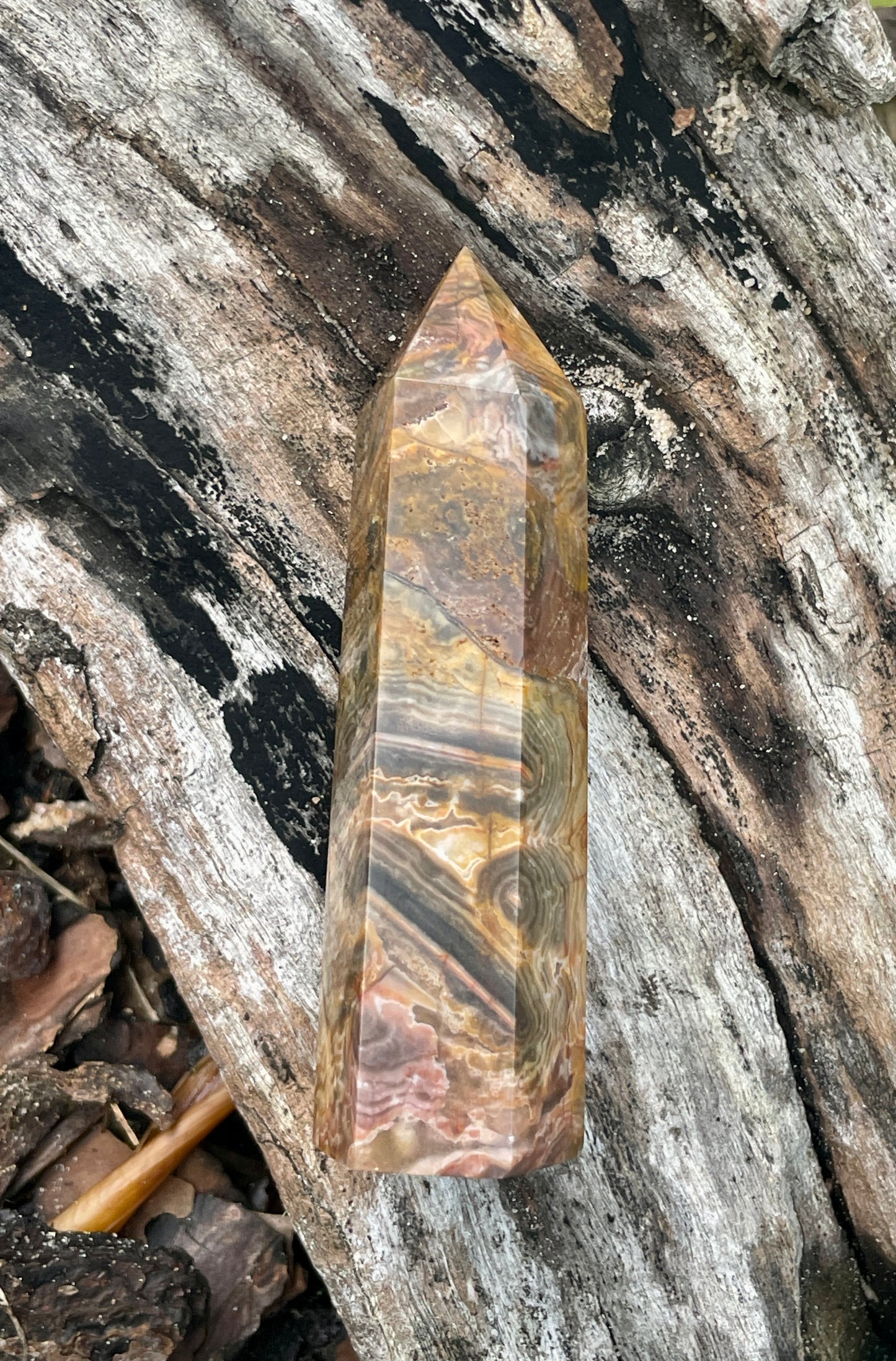 Petrified wood / fossilised timber tower