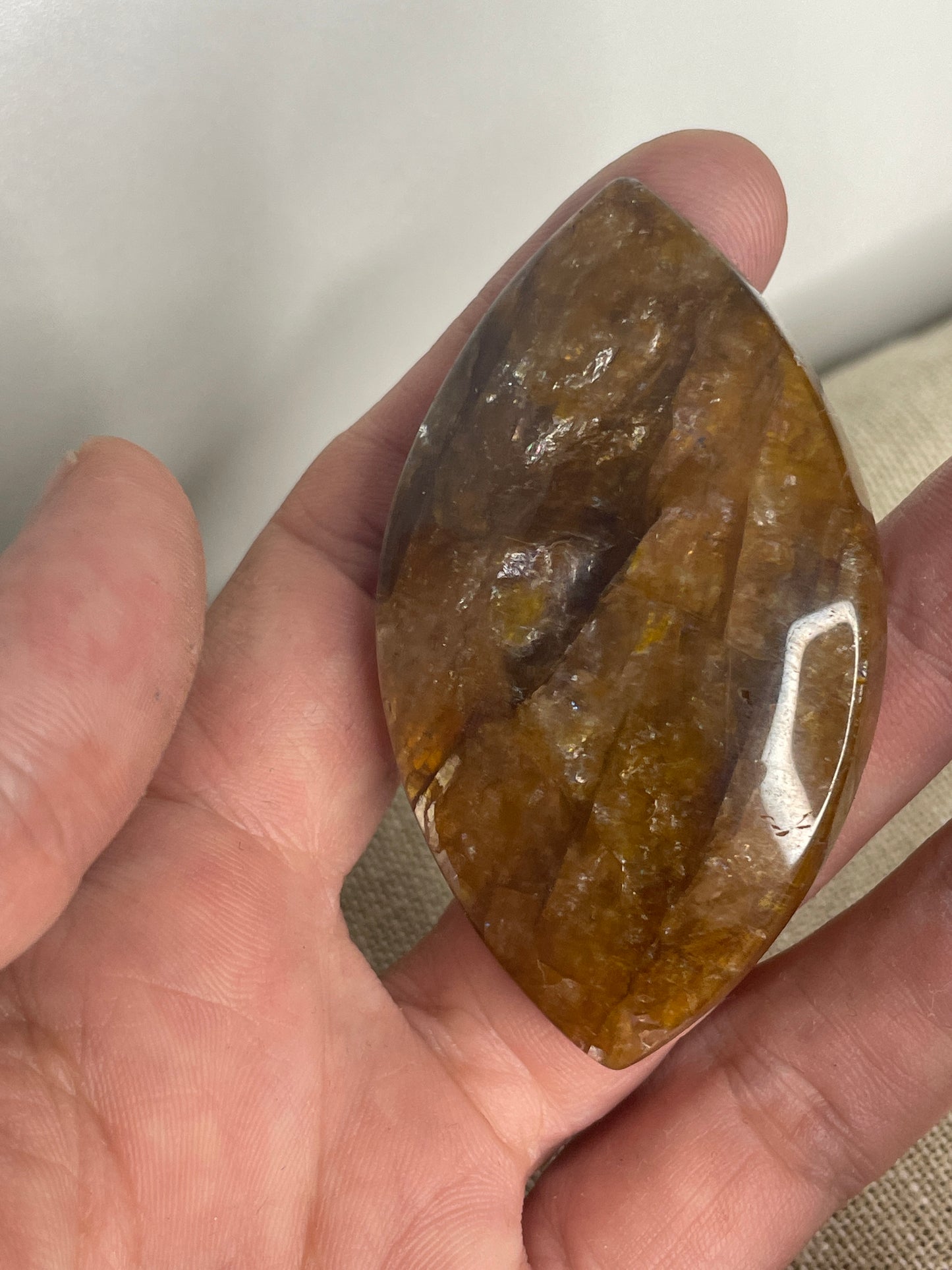 Golden healer palm eye shape