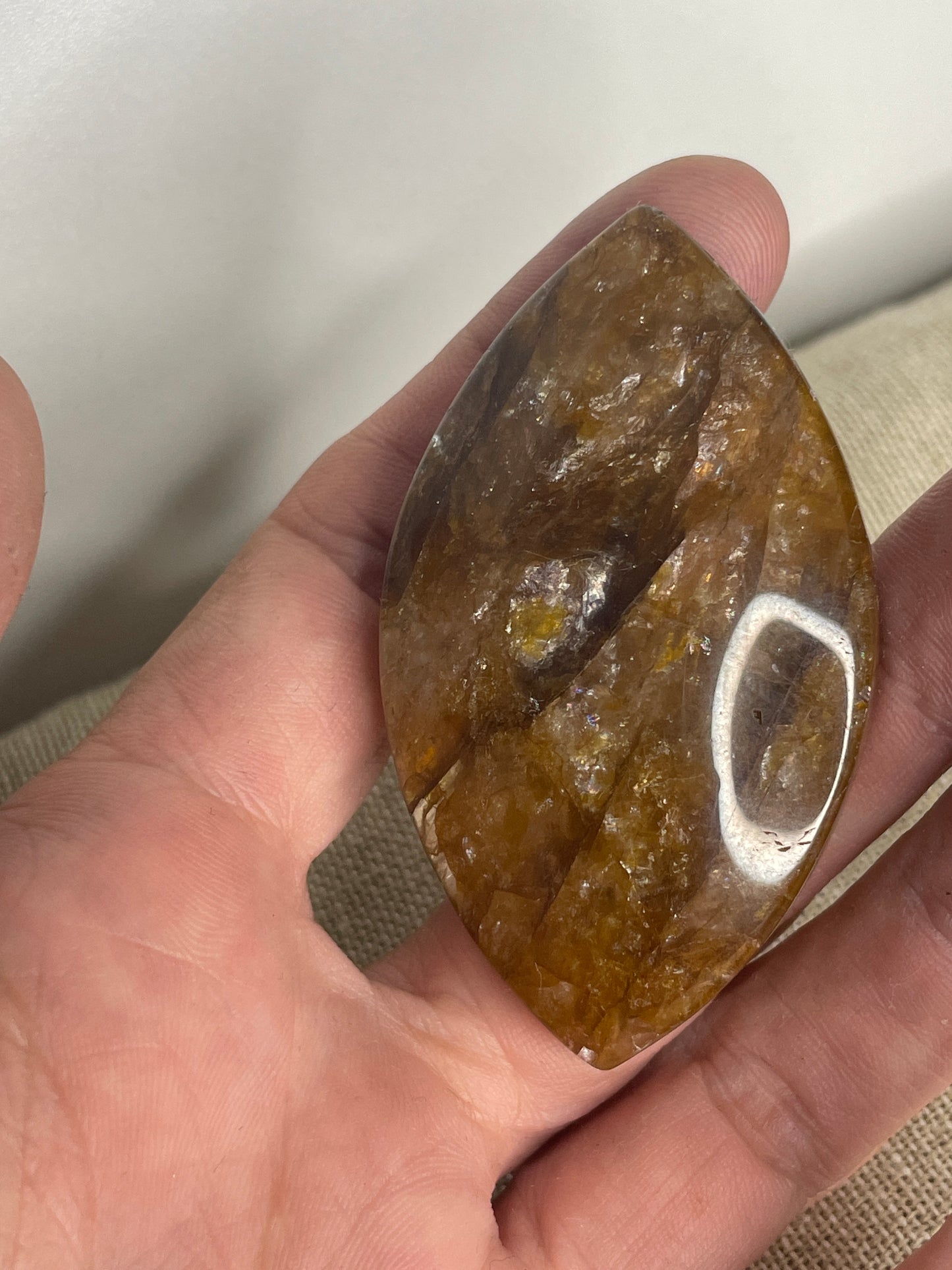 Golden healer palm eye shape