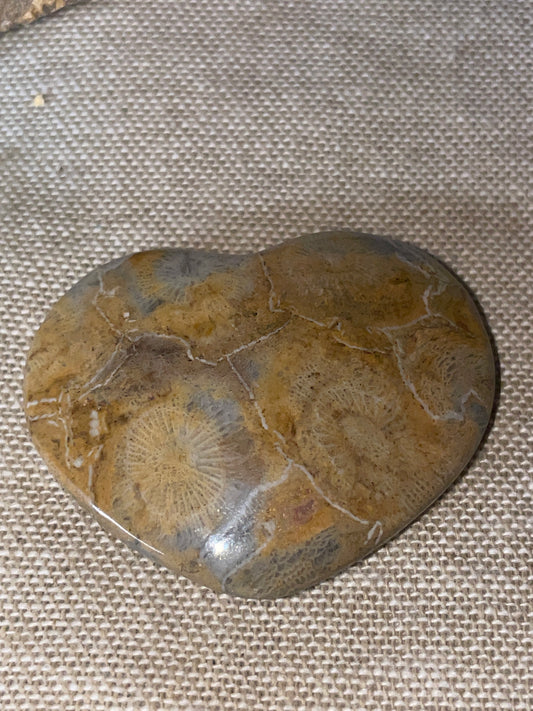Fossilised coral heart